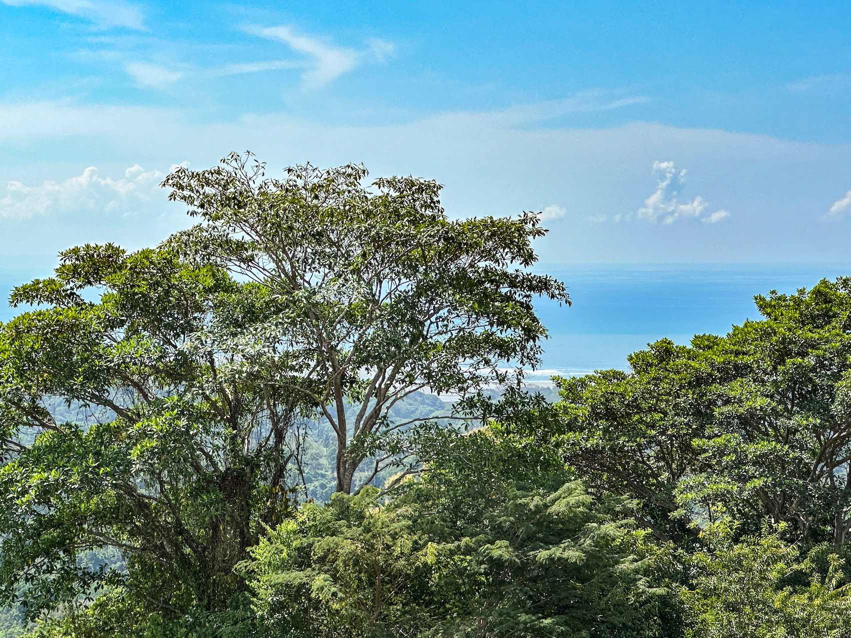 0 bed Land For Sale in Ojochal, Puntarenas - thumb 29