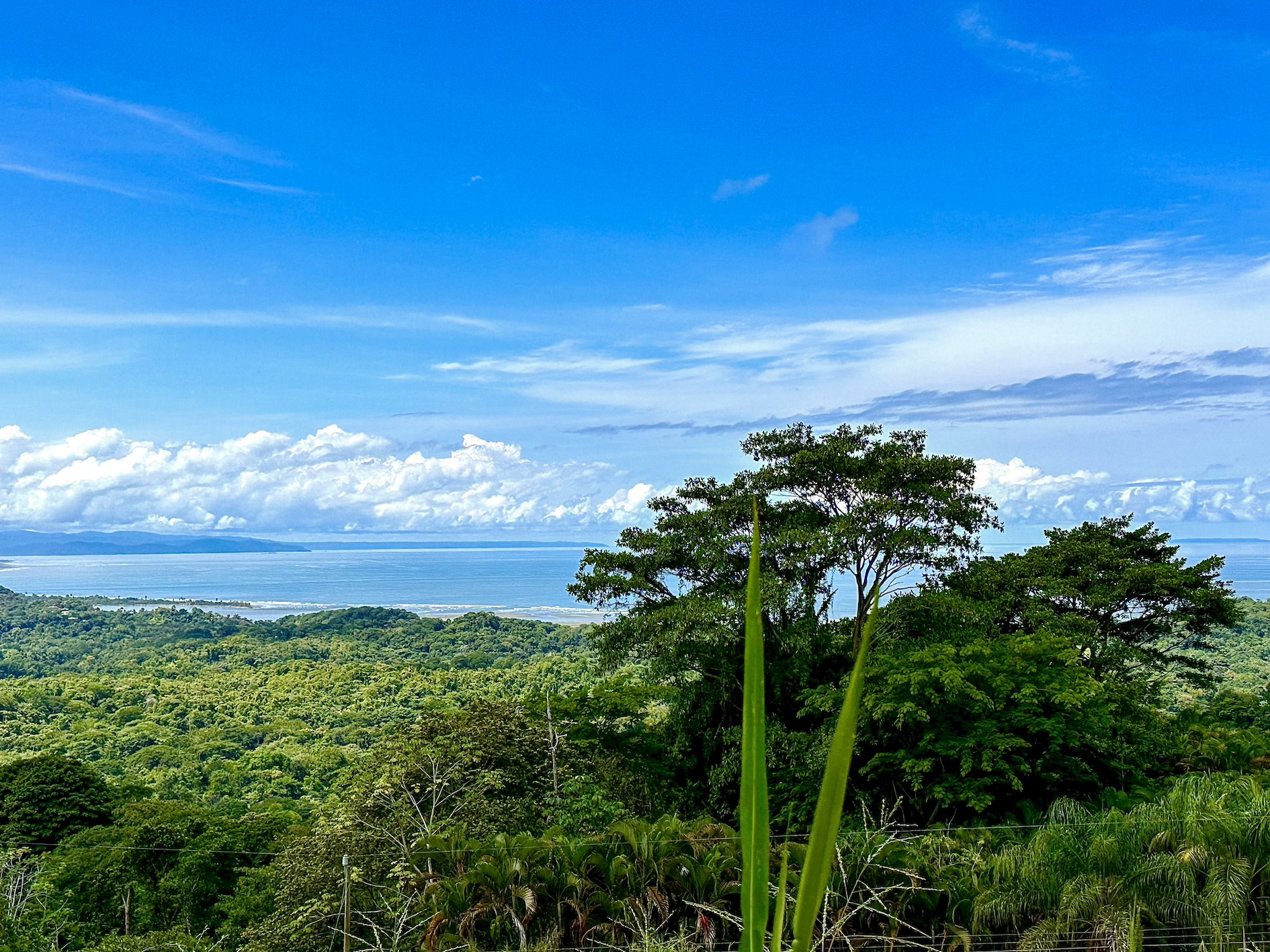 0 bed Land For Sale in Ojochal, Puntarenas - thumb 17