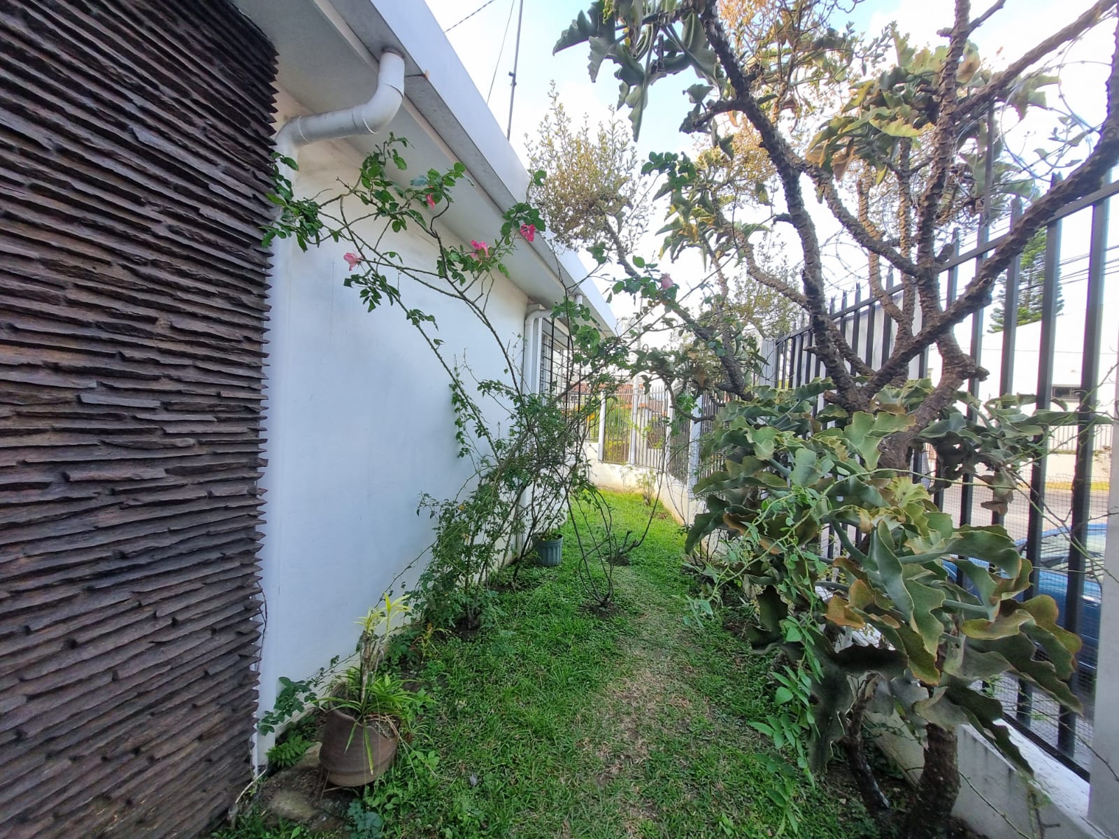 3 bed Single Family Homes For Sale in Guadalupe, San Jose - thumb 20