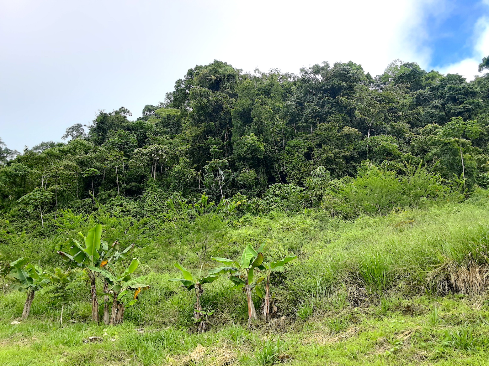 1 bed Land For Sale in Uvita, Puntarenas - thumb 24