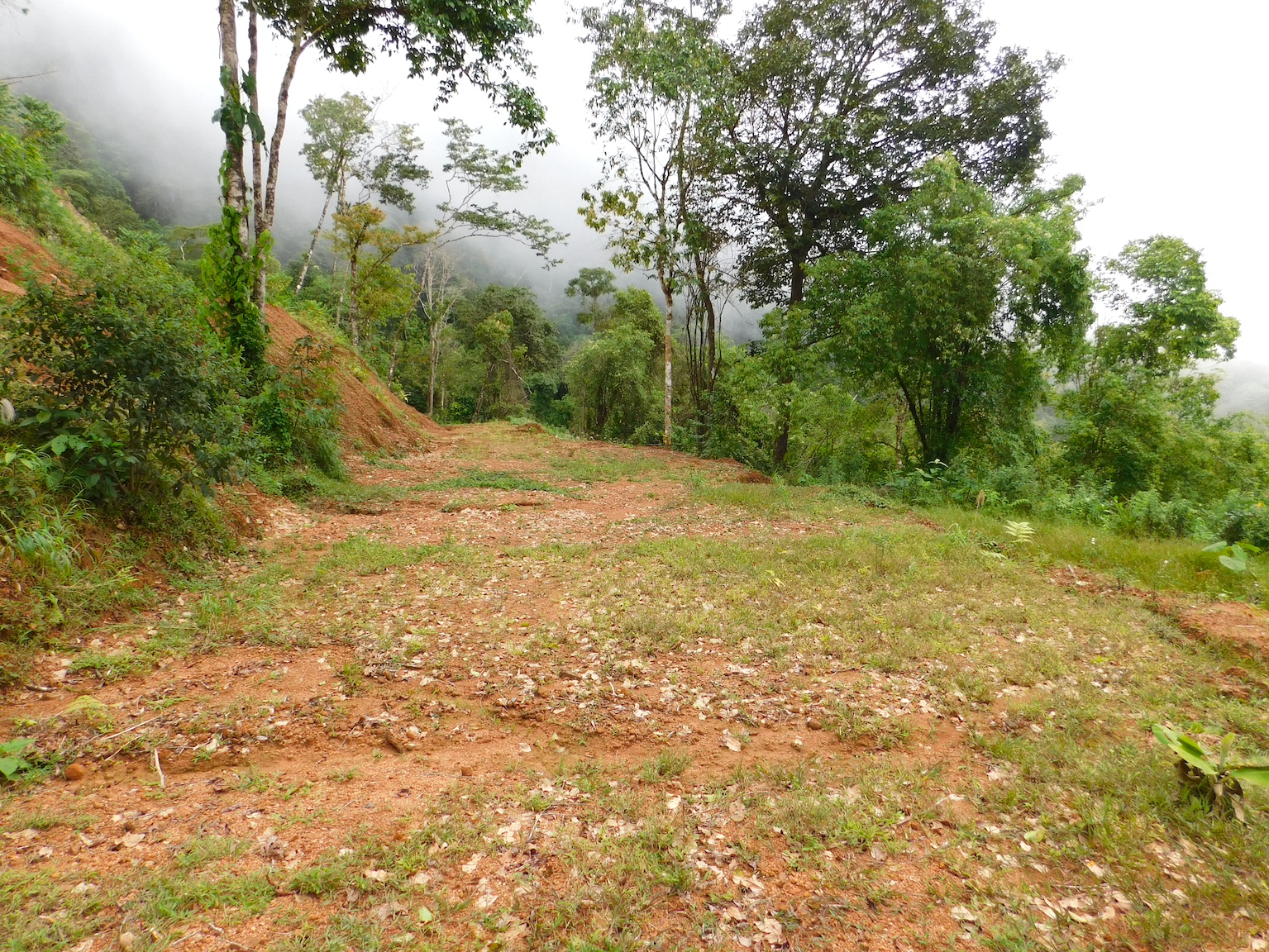 1 bed Land For Sale in Uvita, Puntarenas - thumb 11