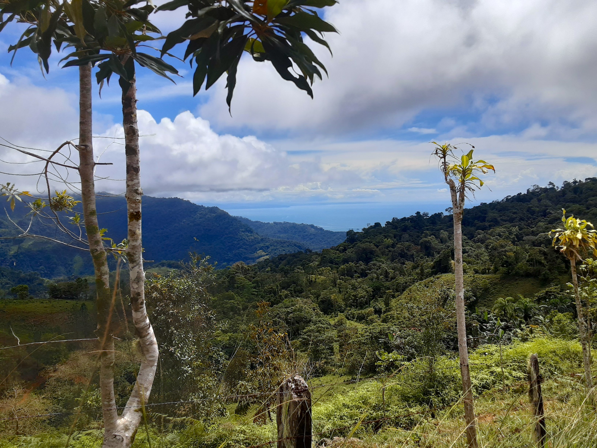 1 bed Land For Sale in Uvita, Puntarenas - thumb 1