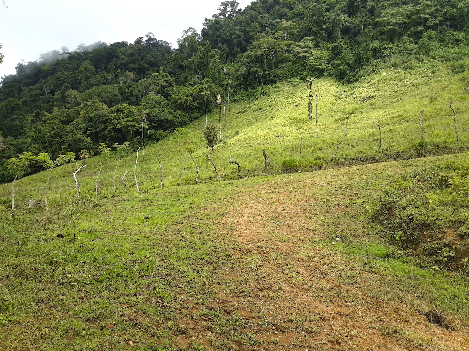 1 bed Land For Sale in Uvita, Puntarenas - thumb 21