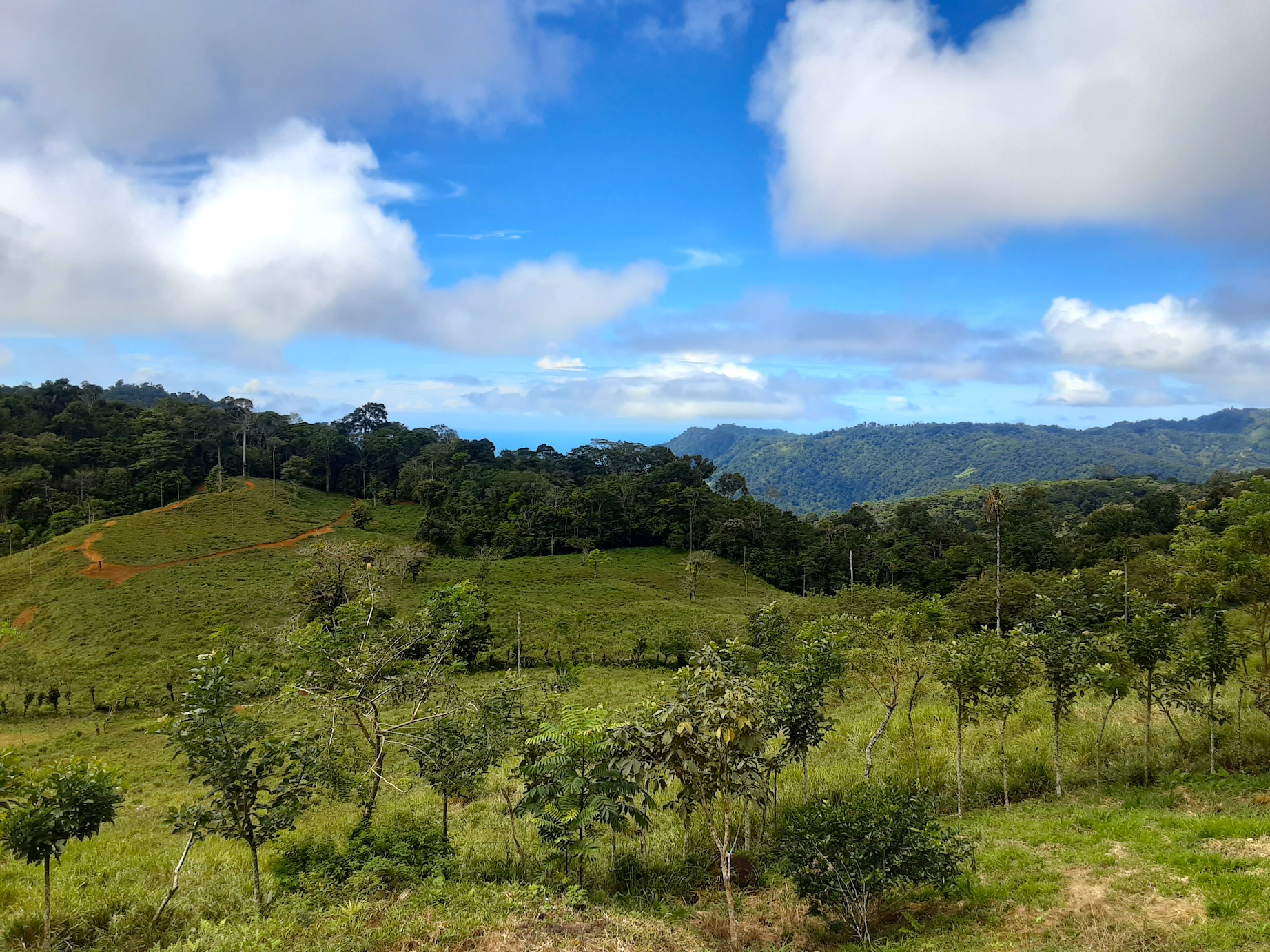 1 bed Land For Sale in Uvita, Puntarenas - thumb 3