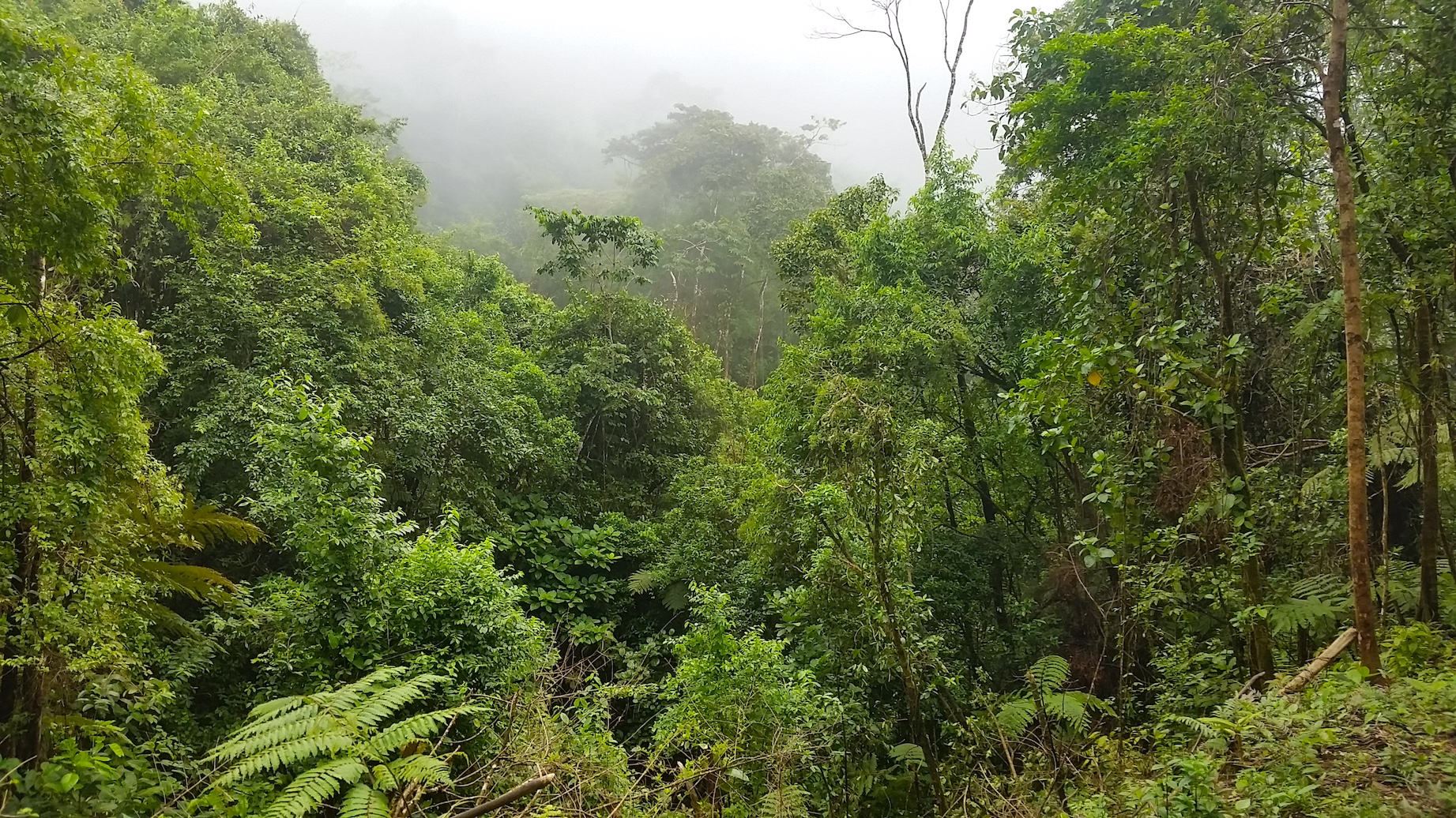 1 bed Land For Sale in Uvita, Puntarenas - thumb 25