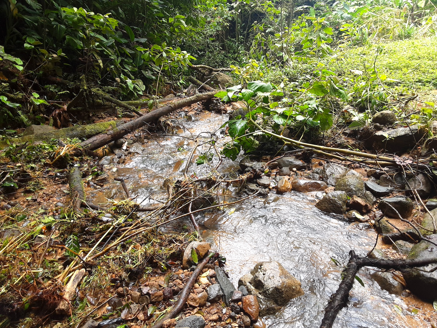 1 bed Land For Sale in Uvita, Puntarenas - thumb 8