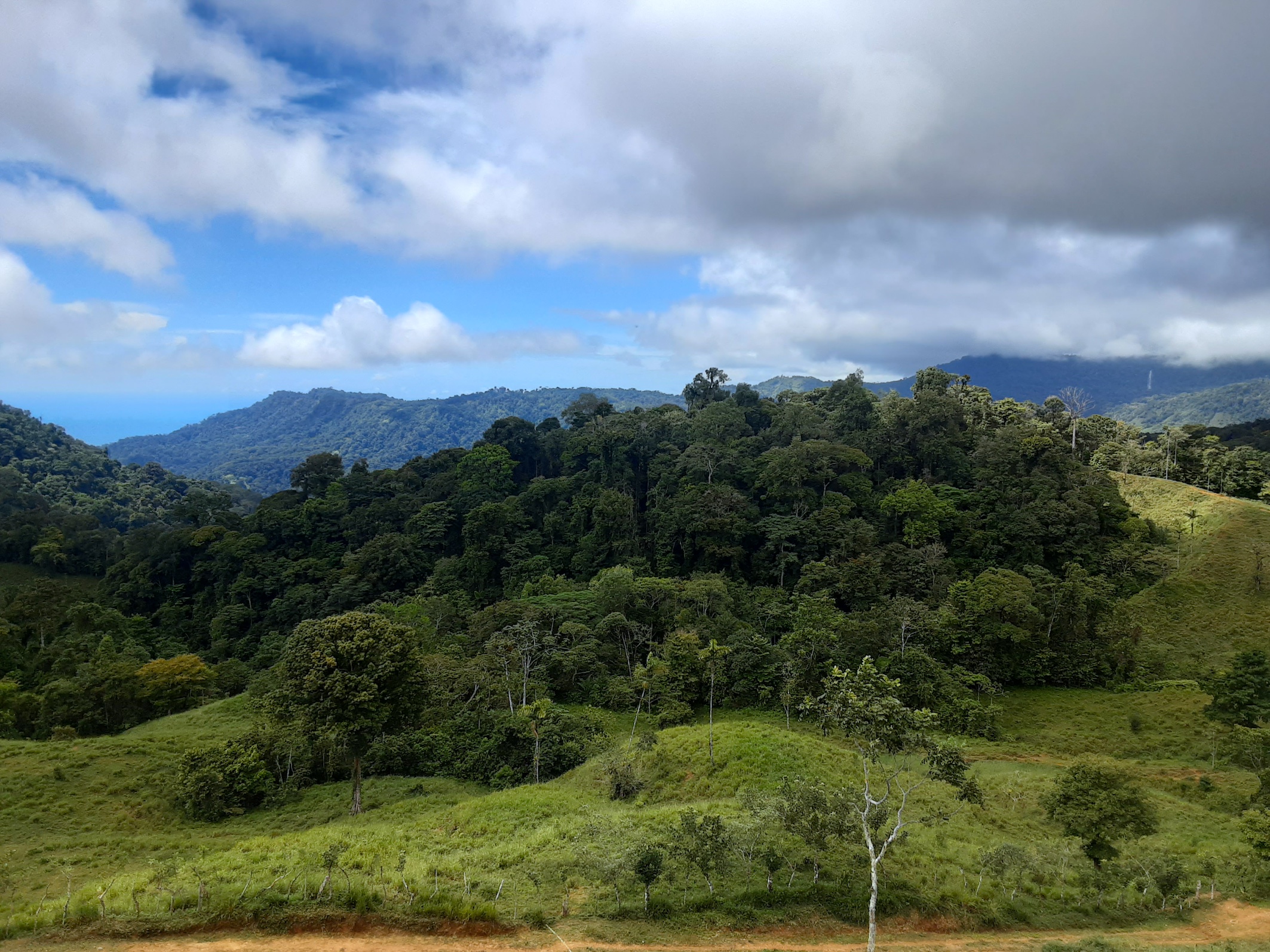 1 bed Land For Sale in Uvita, Puntarenas - thumb 4