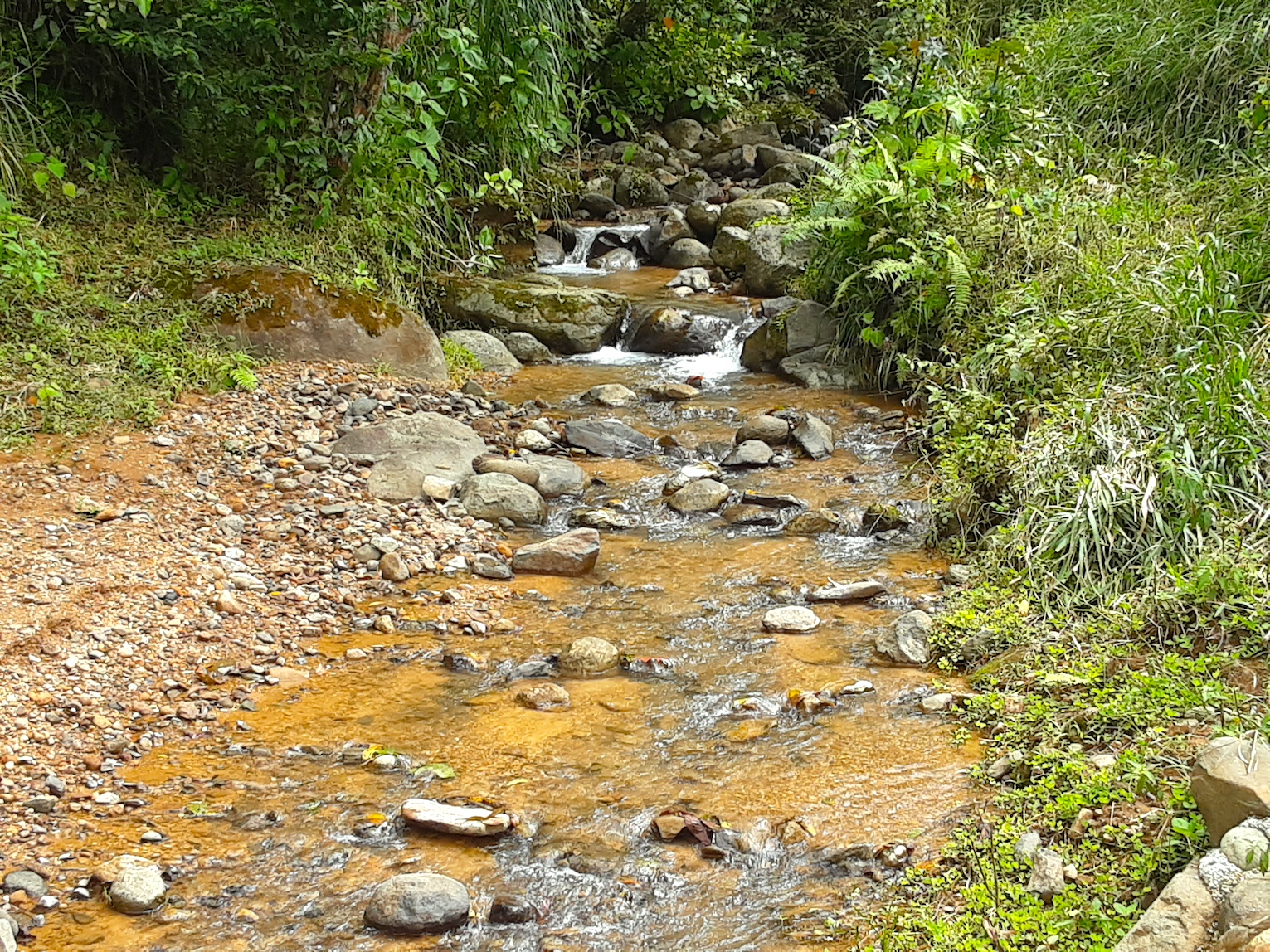 1 bed Land For Sale in Uvita, Puntarenas - thumb 19