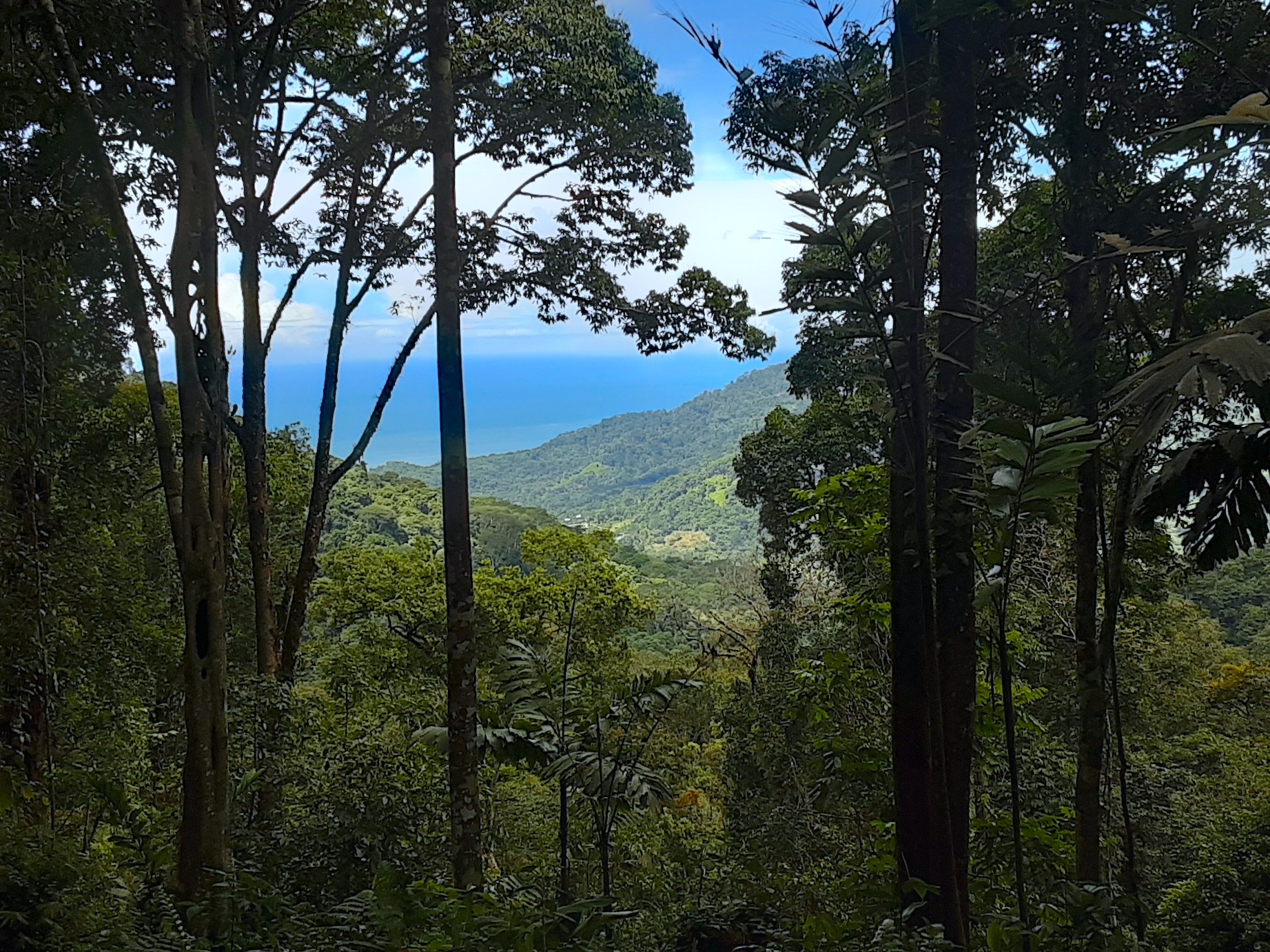 1 bed Land For Sale in Uvita, Puntarenas - thumb 2