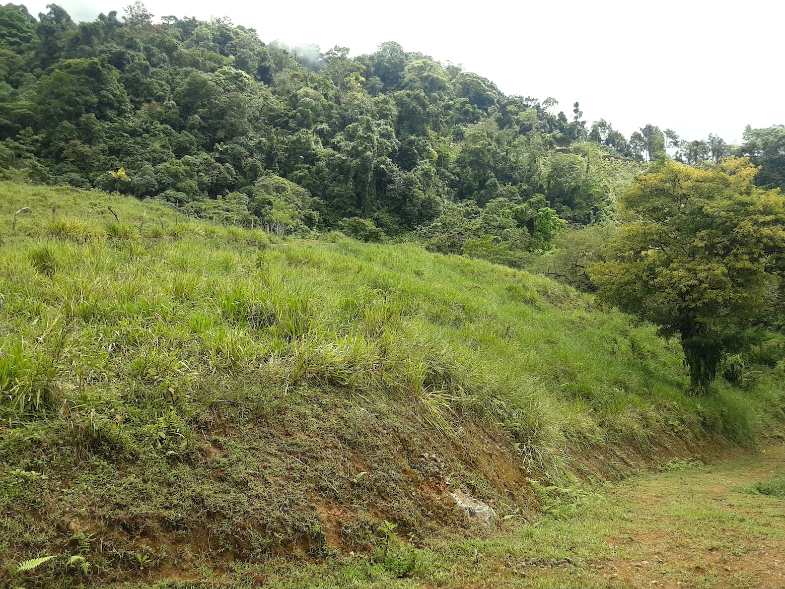 1 bed Land For Sale in Uvita, Puntarenas - thumb 22