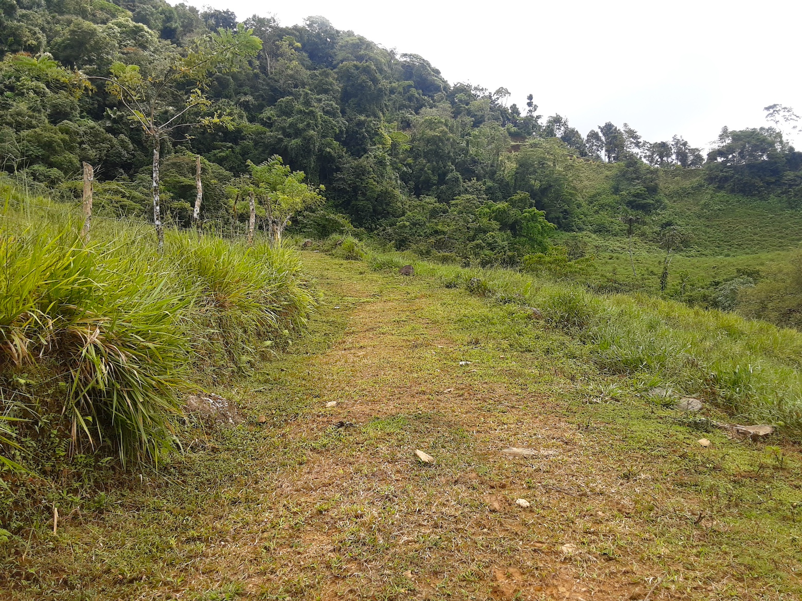 1 bed Land For Sale in Uvita, Puntarenas - thumb 23