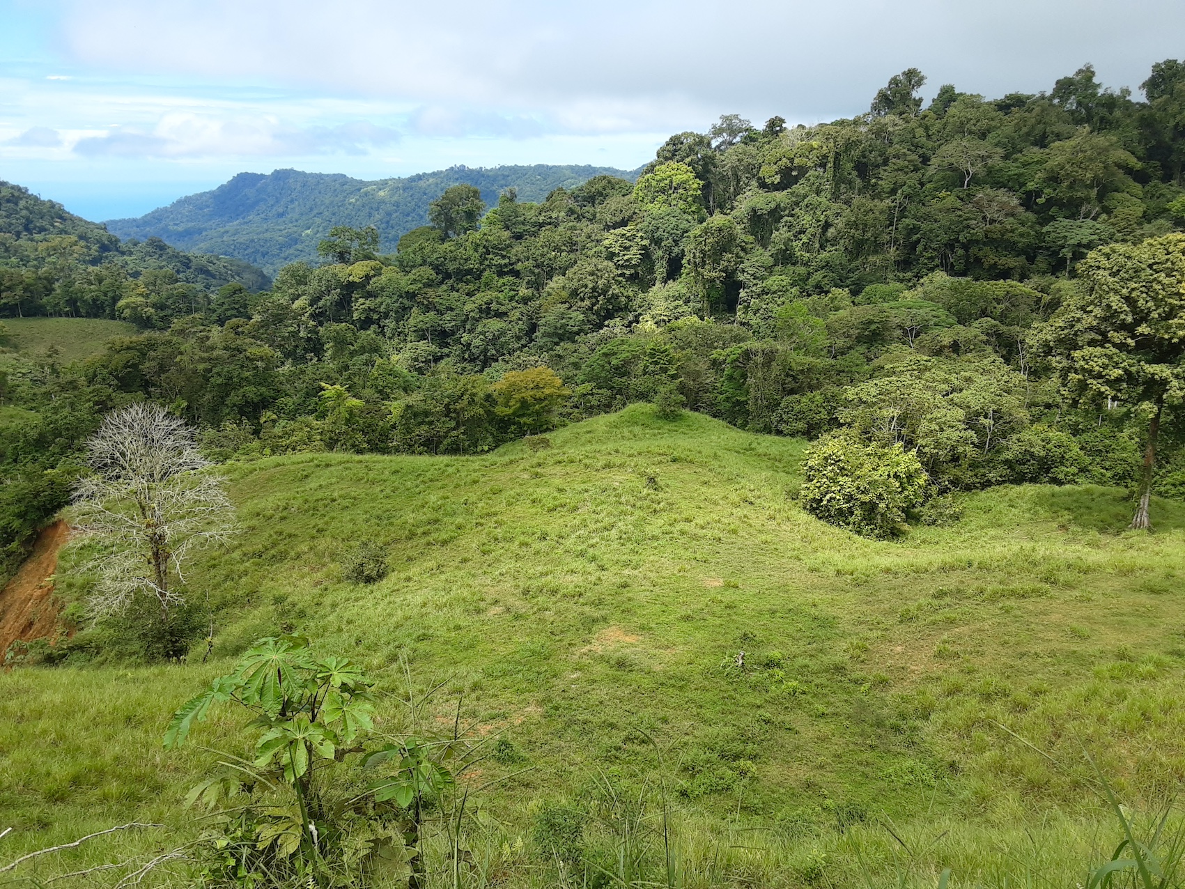 1 bed Land For Sale in Uvita, Puntarenas - thumb 10