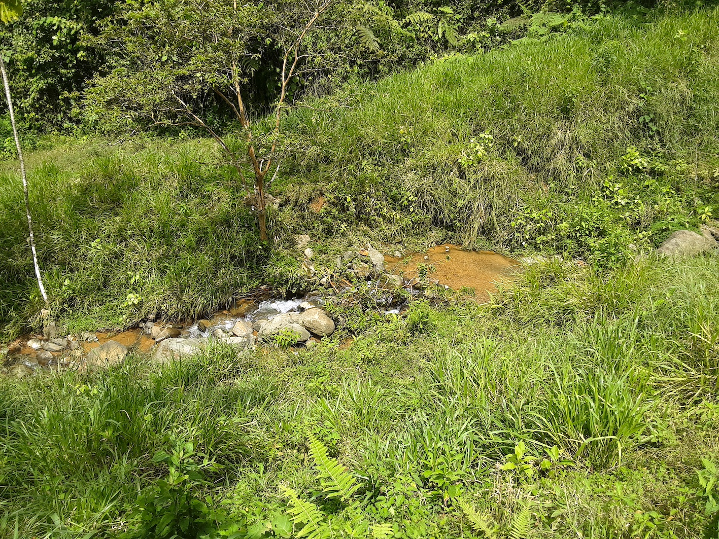 1 bed Land For Sale in Uvita, Puntarenas - thumb 7