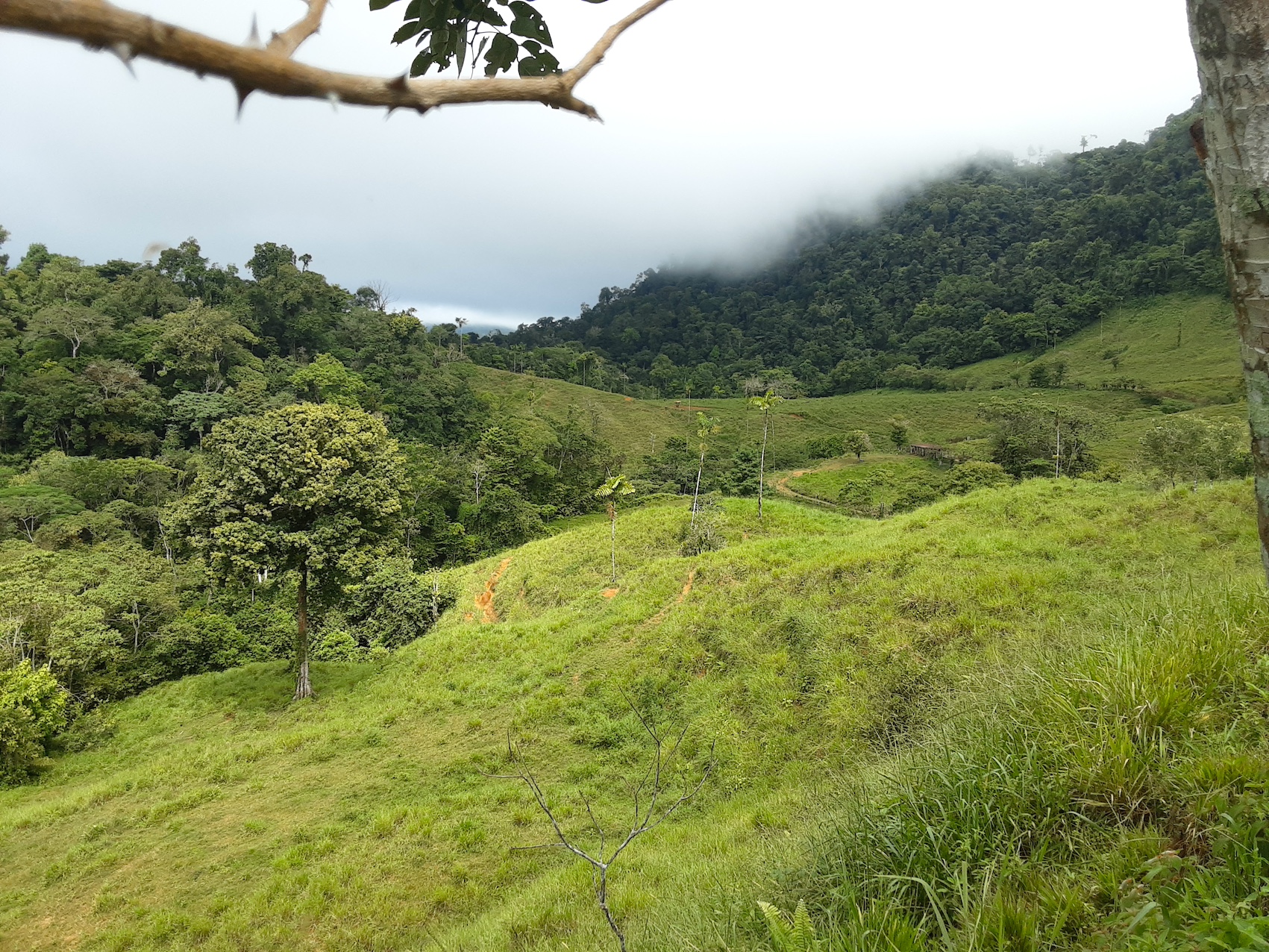 1 bed Land For Sale in Uvita, Puntarenas - thumb 16