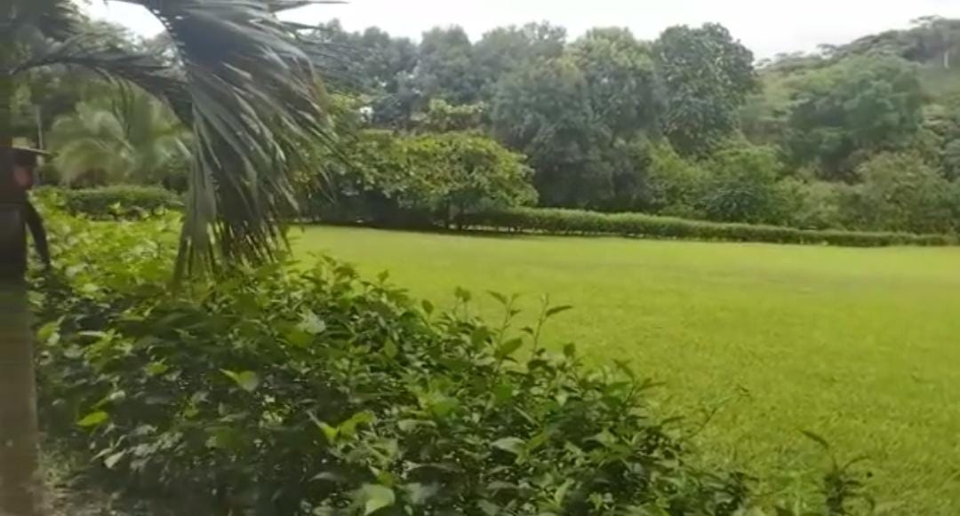 0 bed Land For Sale in Orotina, Alajuela - thumb 2