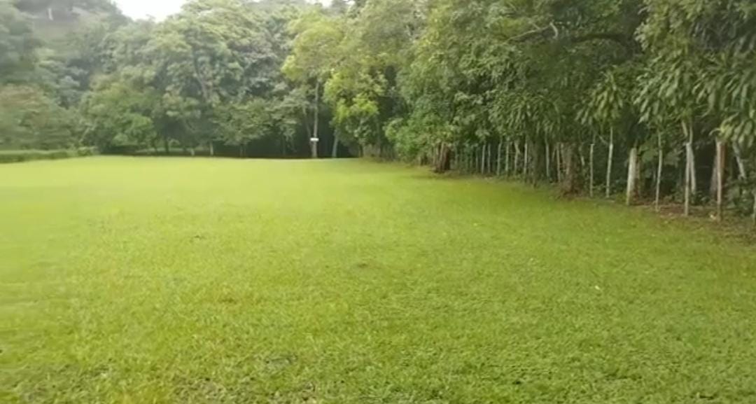 0 bed Land For Sale in Orotina, Alajuela - thumb 6