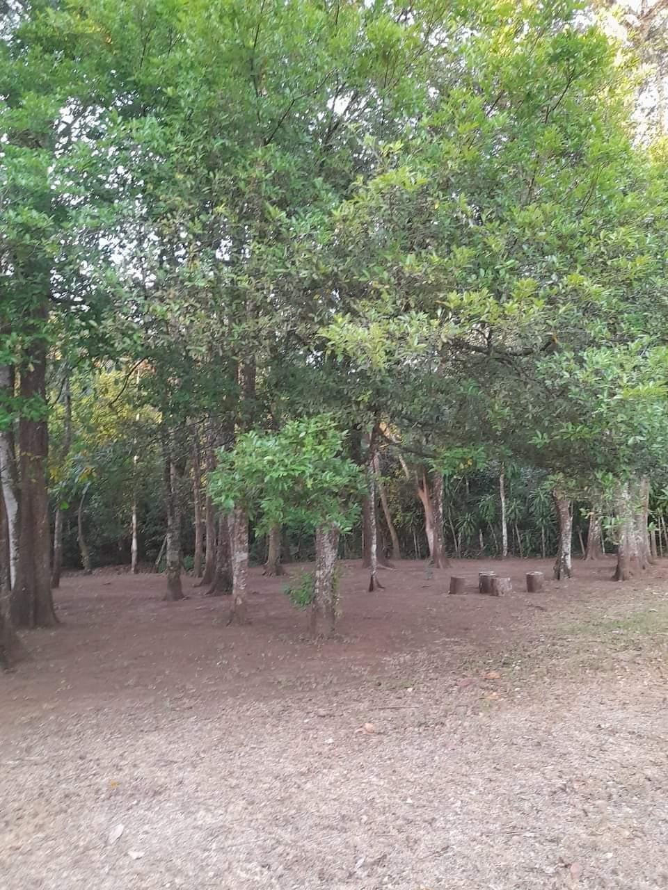 0 bed Land For Sale in Orotina, Alajuela - thumb 4