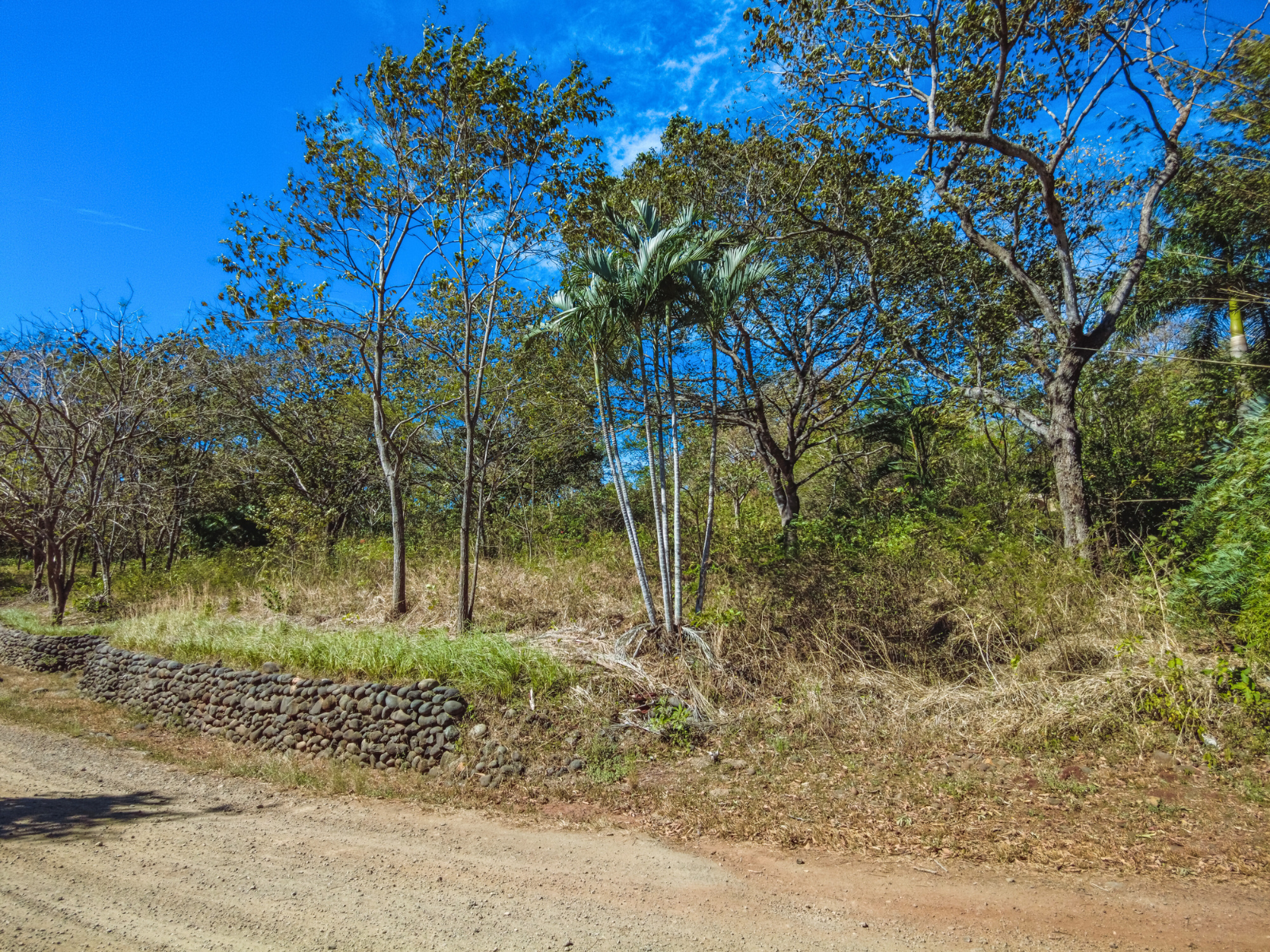 0 bed Land For Sale in Junquillal, Guanacaste - thumb 23