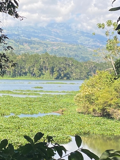 0 bed Land For Sale in Cachí, Cartago - thumb 2