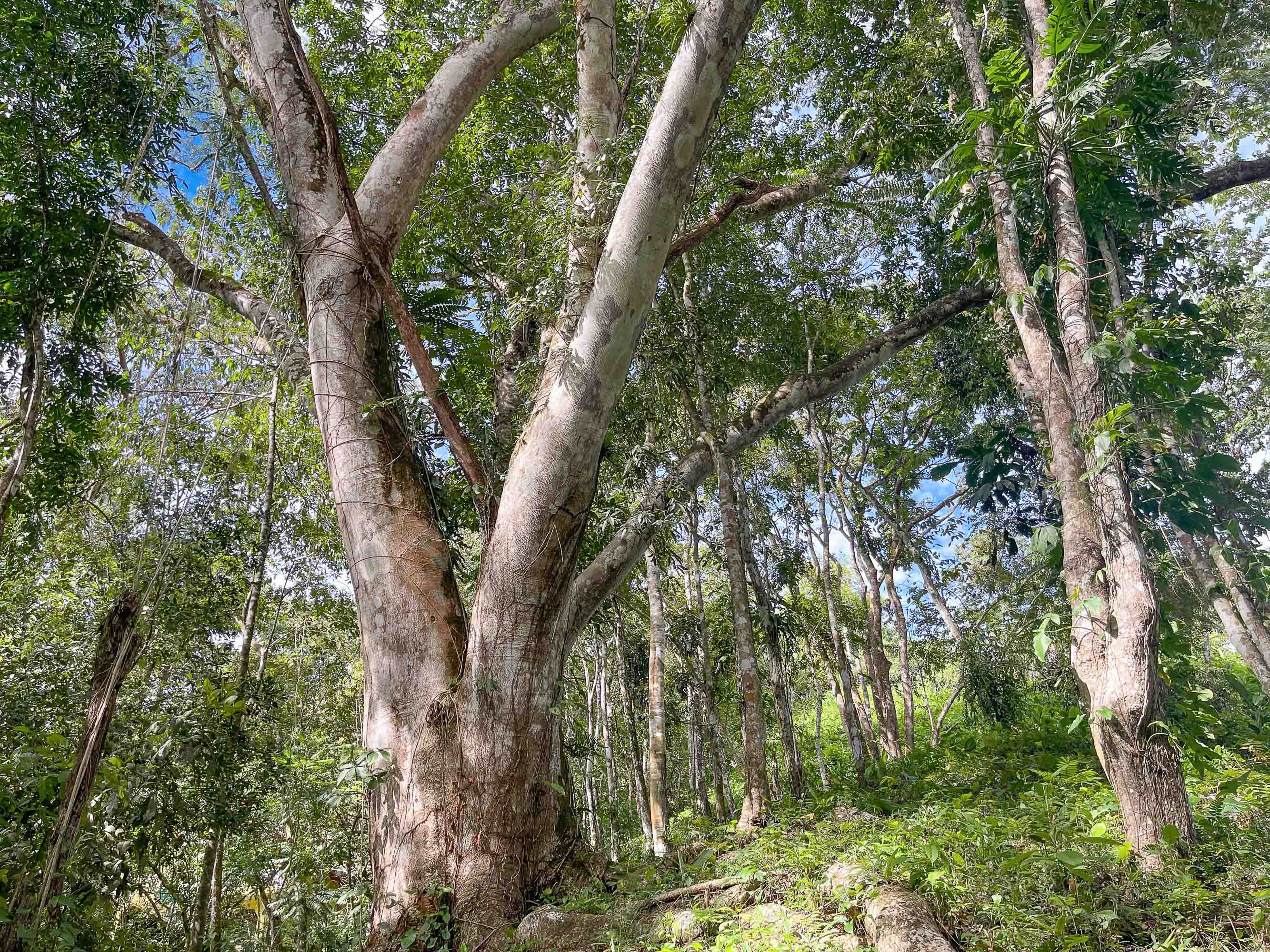 0 bed Land For Sale in Quepos, Puntarenas - thumb 11