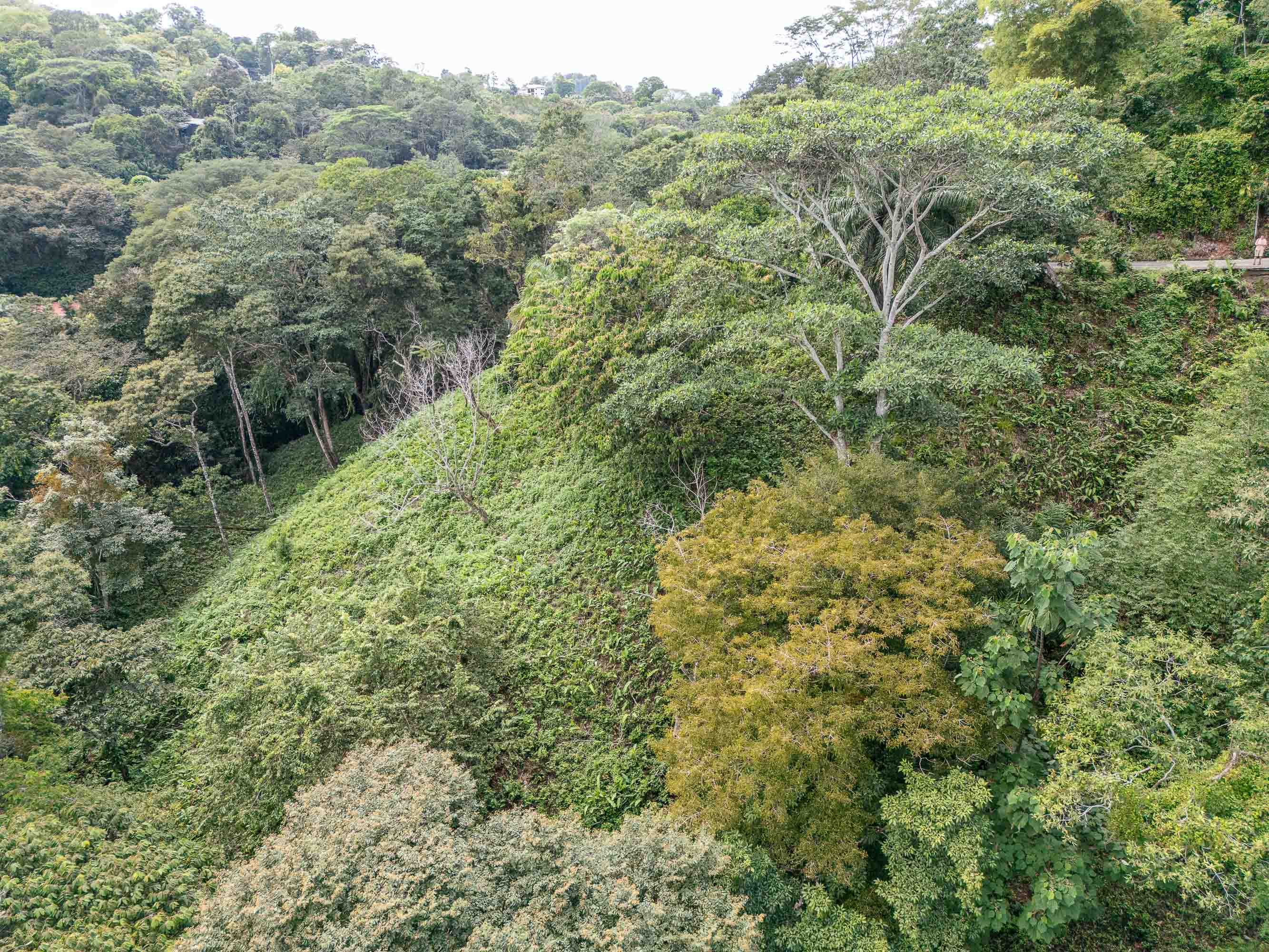 0 bed Land For Sale in Quepos, Puntarenas - thumb 4