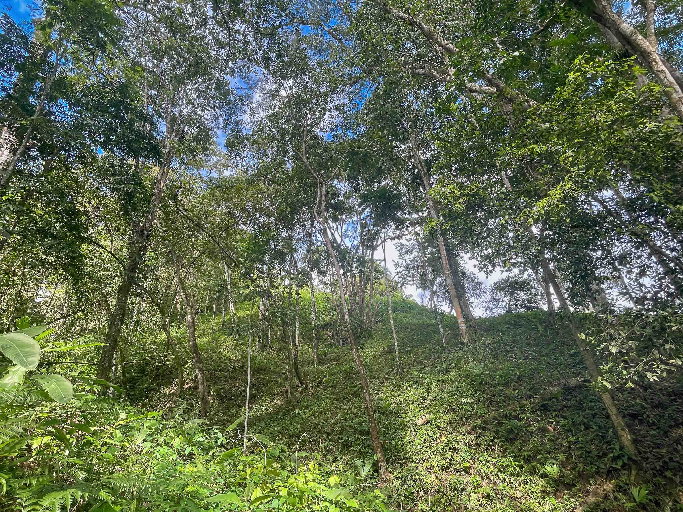 0 bed Land For Sale in Quepos, Puntarenas - thumb 5