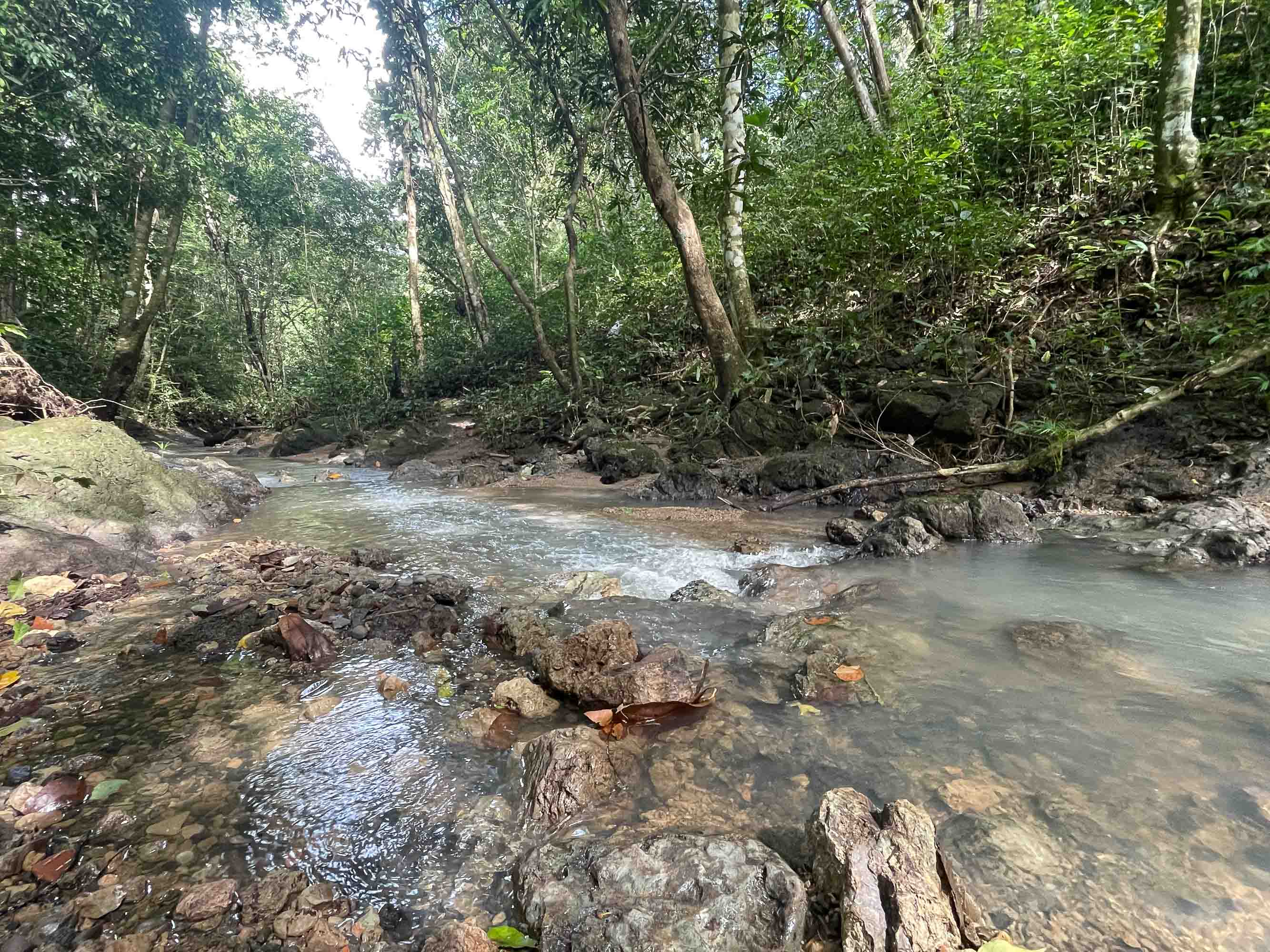 0 bed Land For Sale in Quepos, Puntarenas - thumb 8