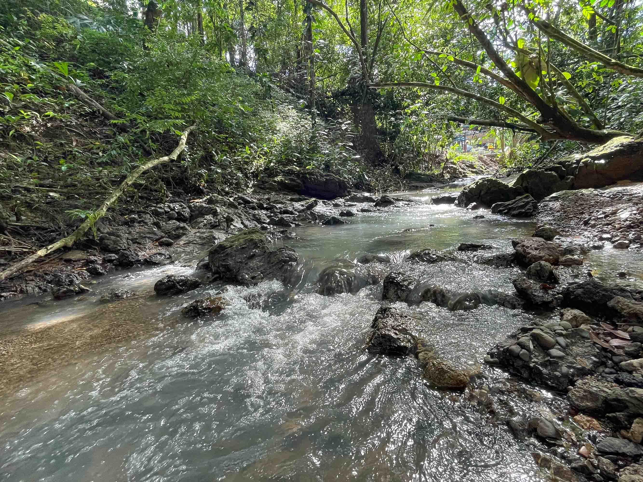 0 bed Land For Sale in Quepos, Puntarenas - thumb 3