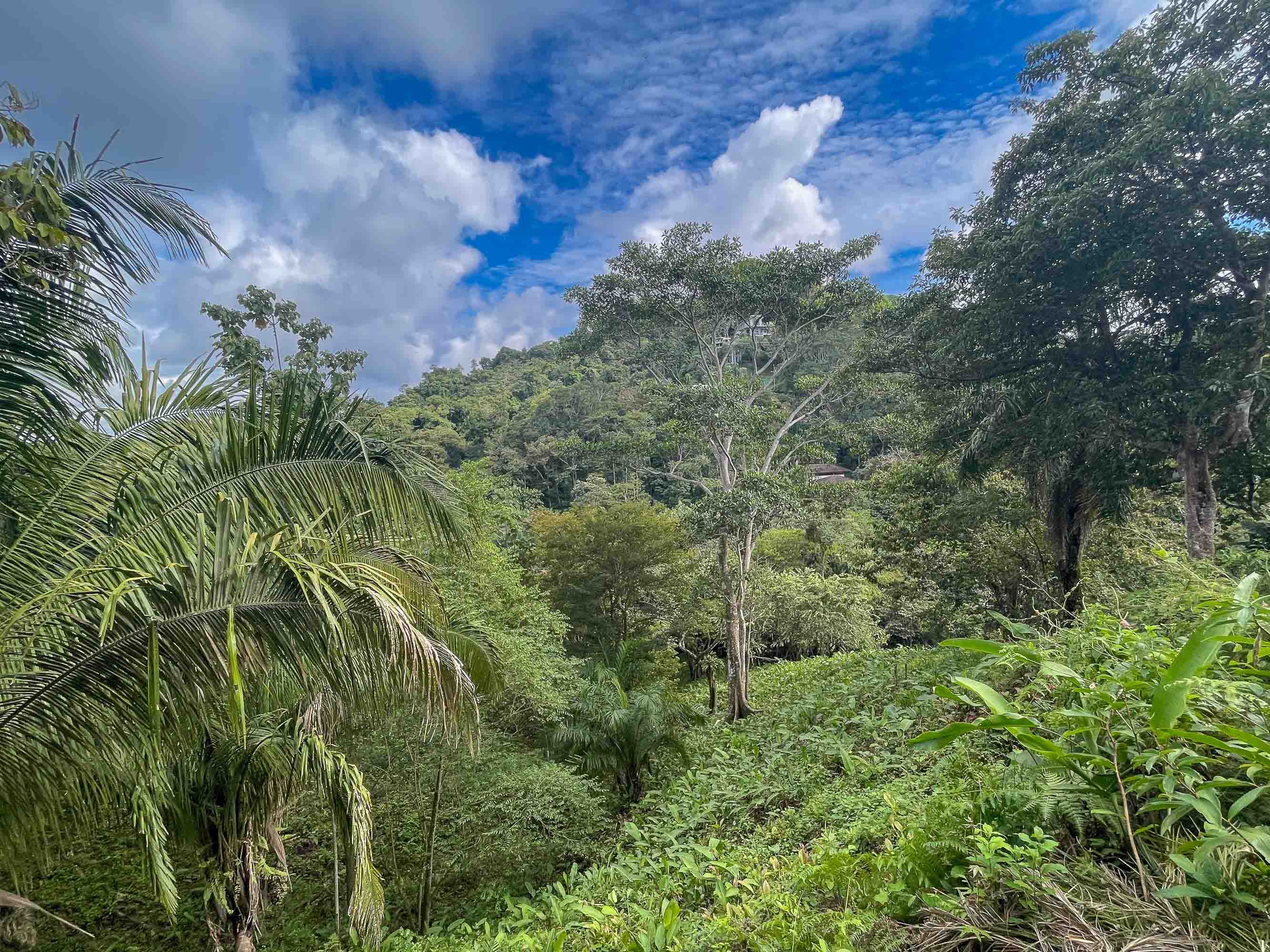 0 bed Land For Sale in Quepos, Puntarenas - thumb 6