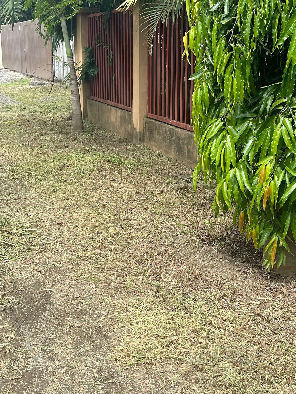 0 bed Land For Sale in Belen, Guanacaste - thumb 16