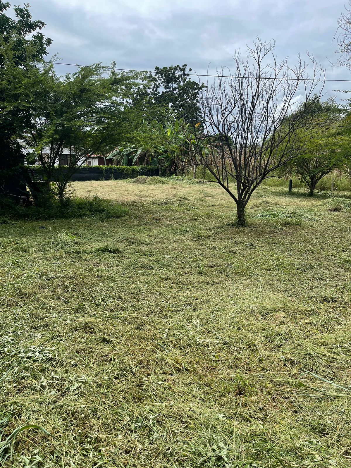 0 bed Land For Sale in Belen, Guanacaste - thumb 7