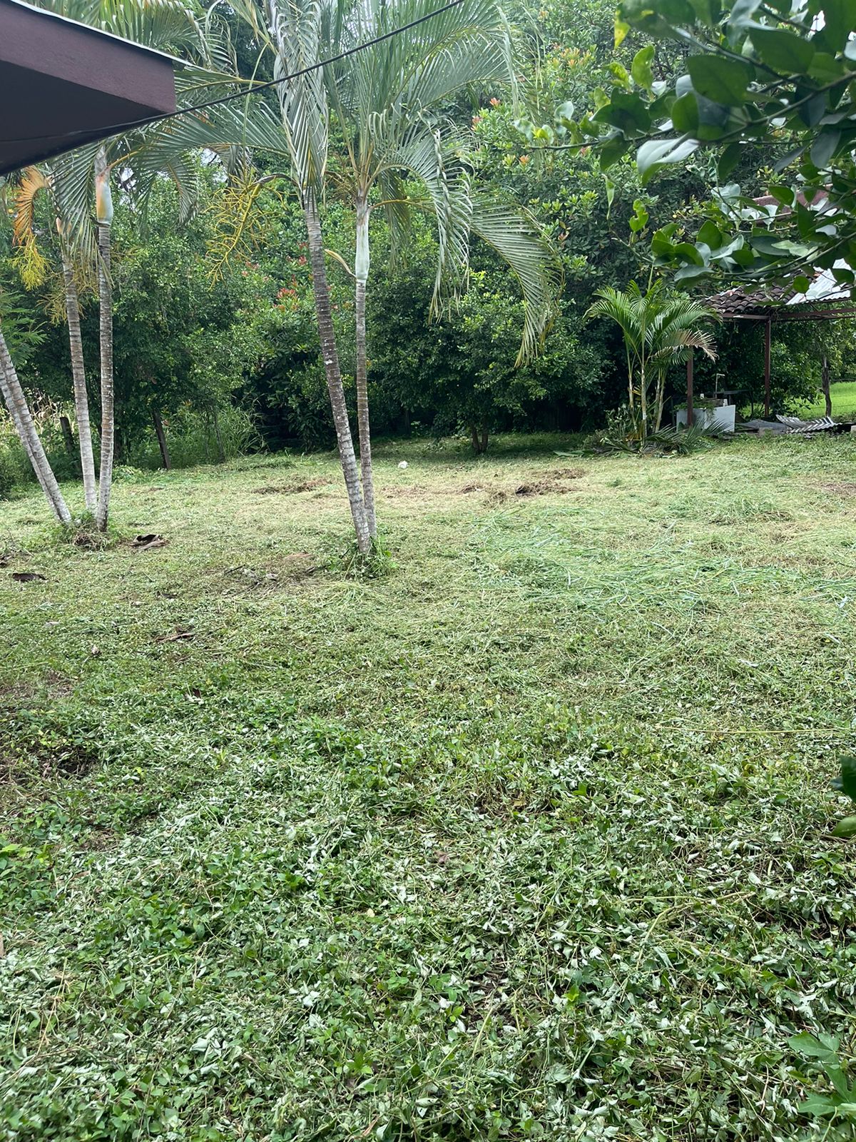 0 bed Land For Sale in Belen, Guanacaste - thumb 9