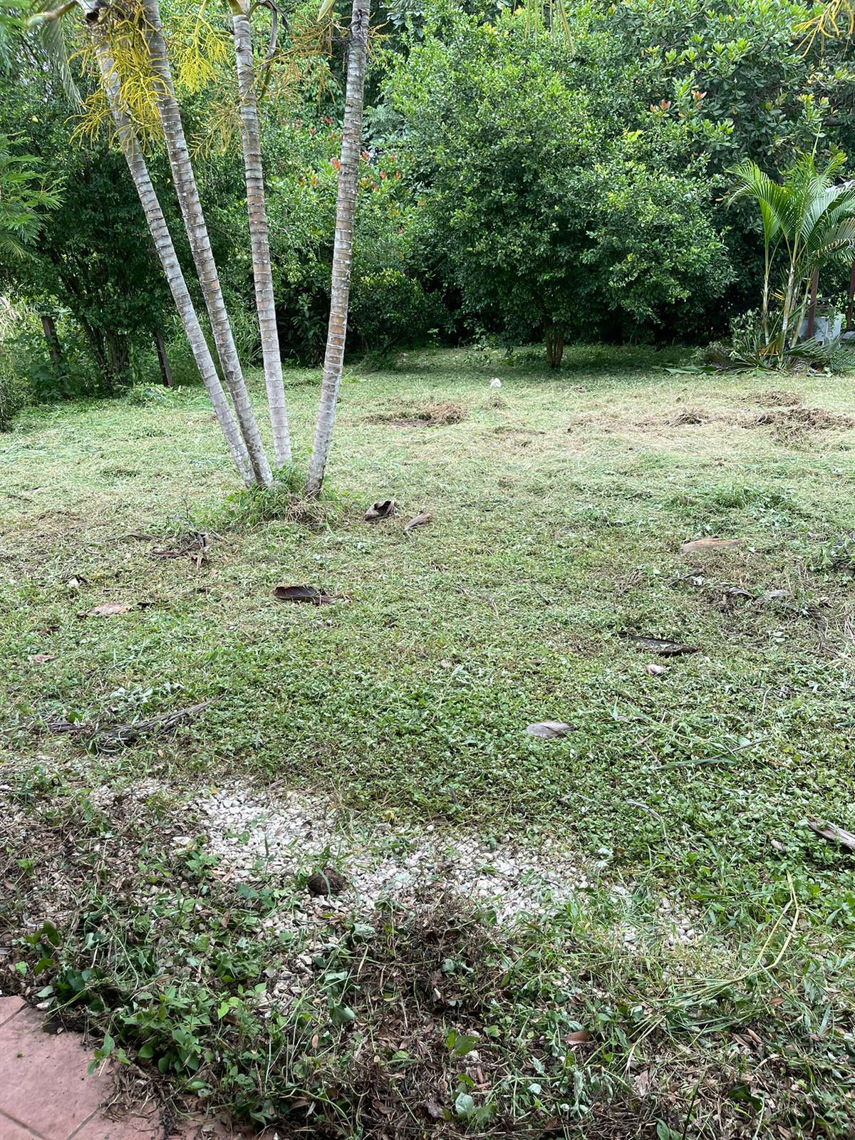 0 bed Land For Sale in Belen, Guanacaste - thumb 10