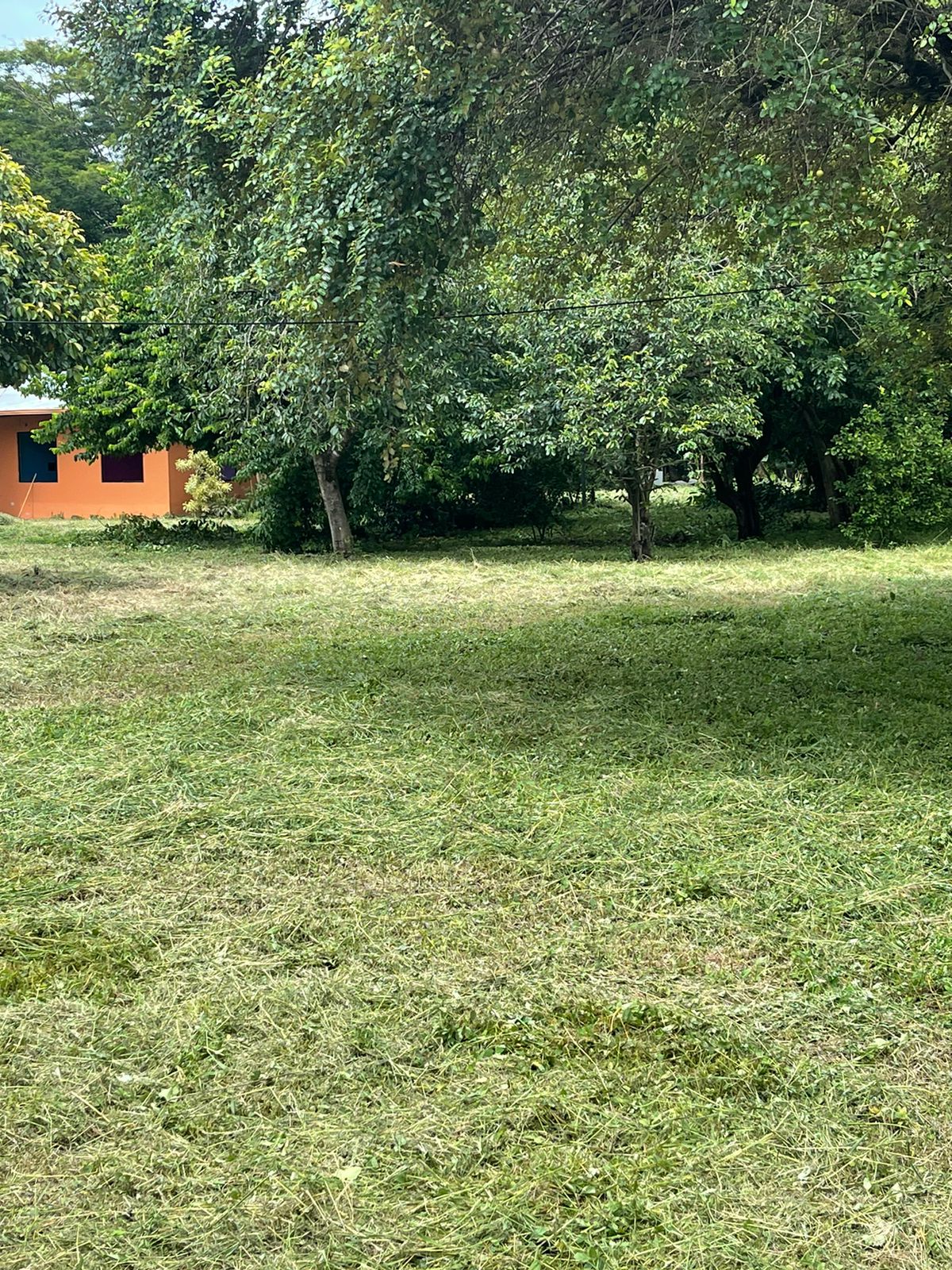 0 bed Land For Sale in Belen, Guanacaste - thumb 8