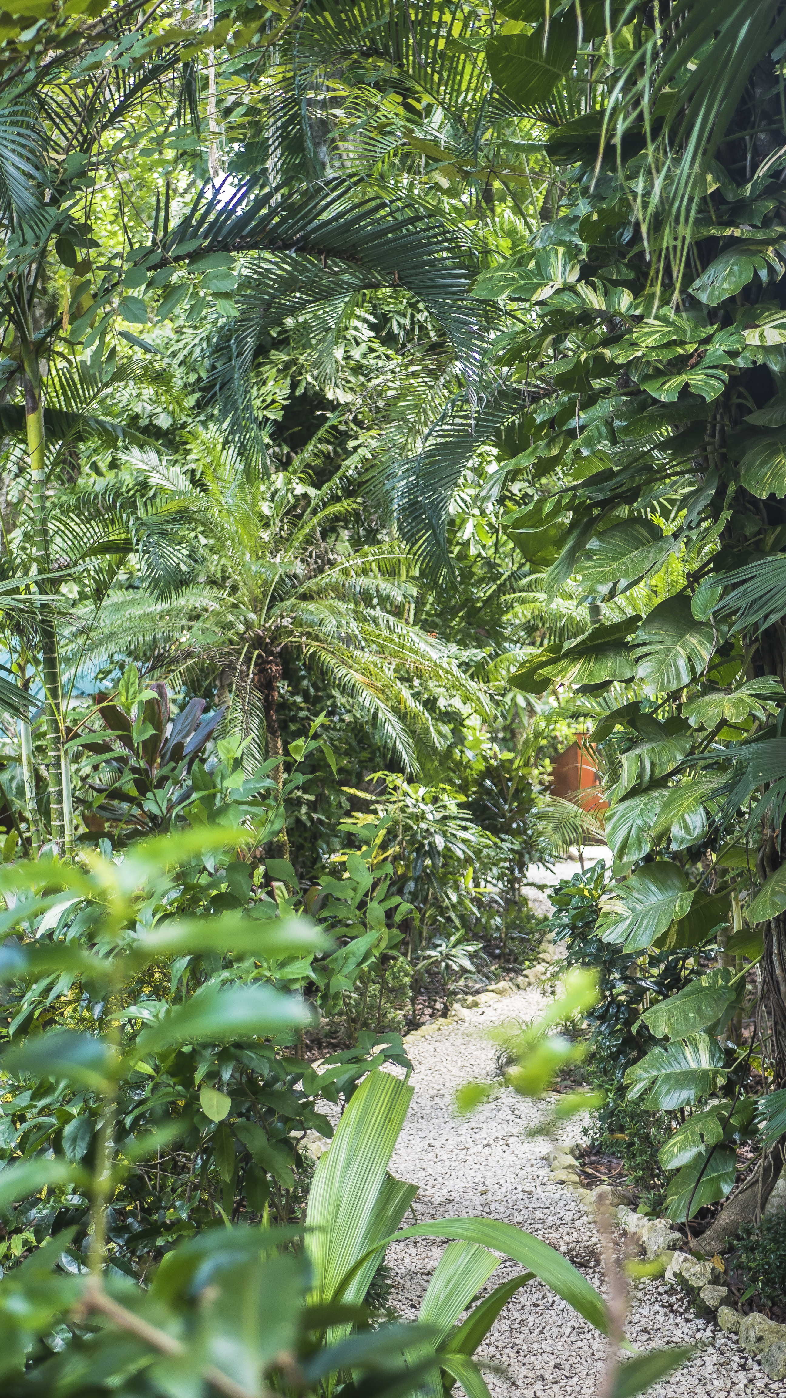 12 bed Hotel / Leisure For Sale in Samara, Guanacaste - thumb 25