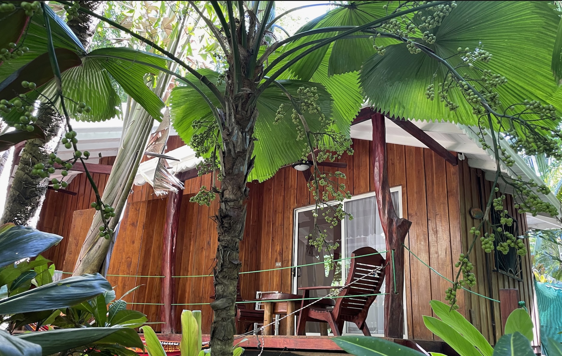 12 bed Hotel / Leisure For Sale in Samara, Guanacaste - thumb 8