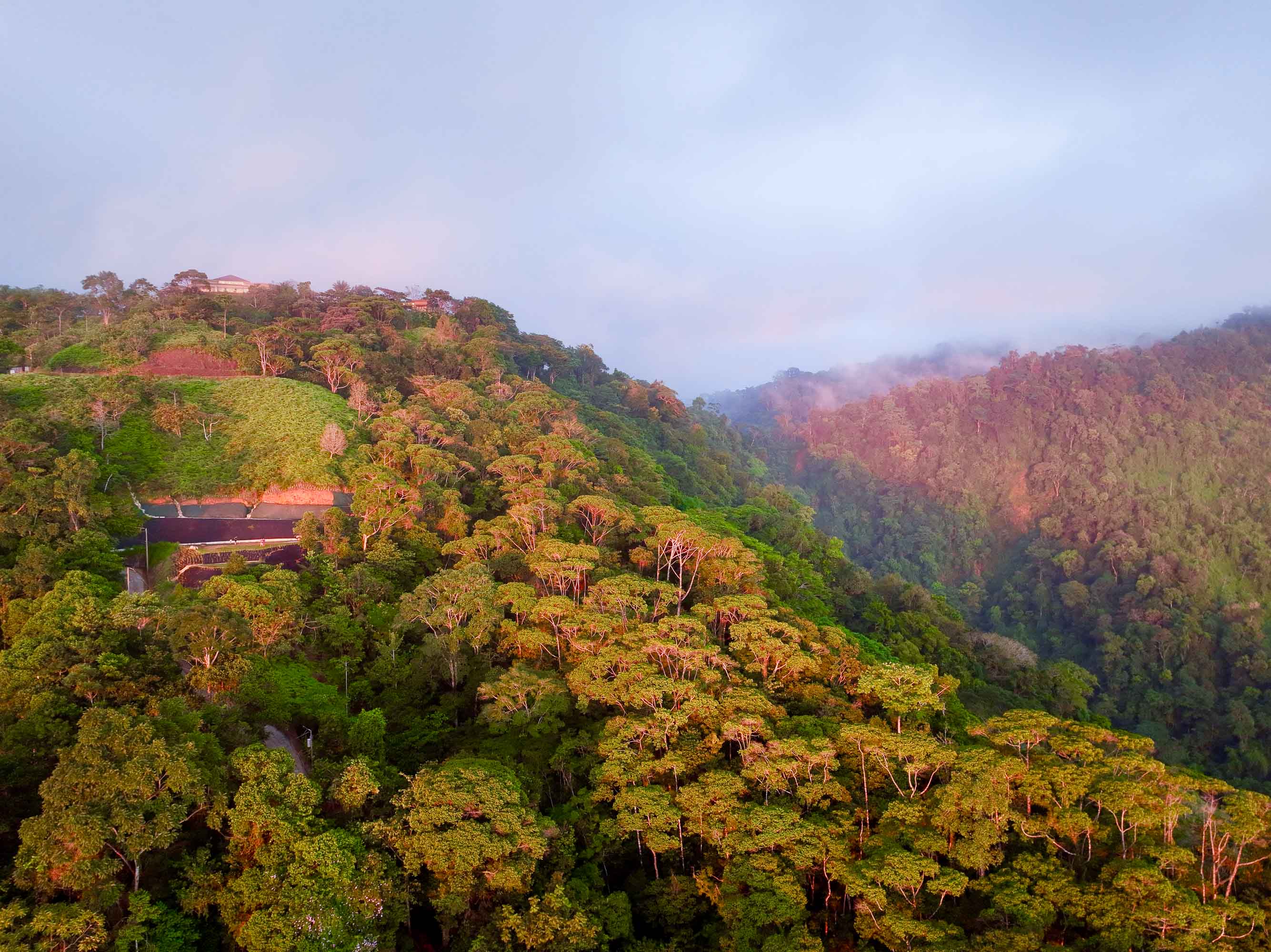 0 bed Land For Sale in Dominical, Puntarenas - thumb 13