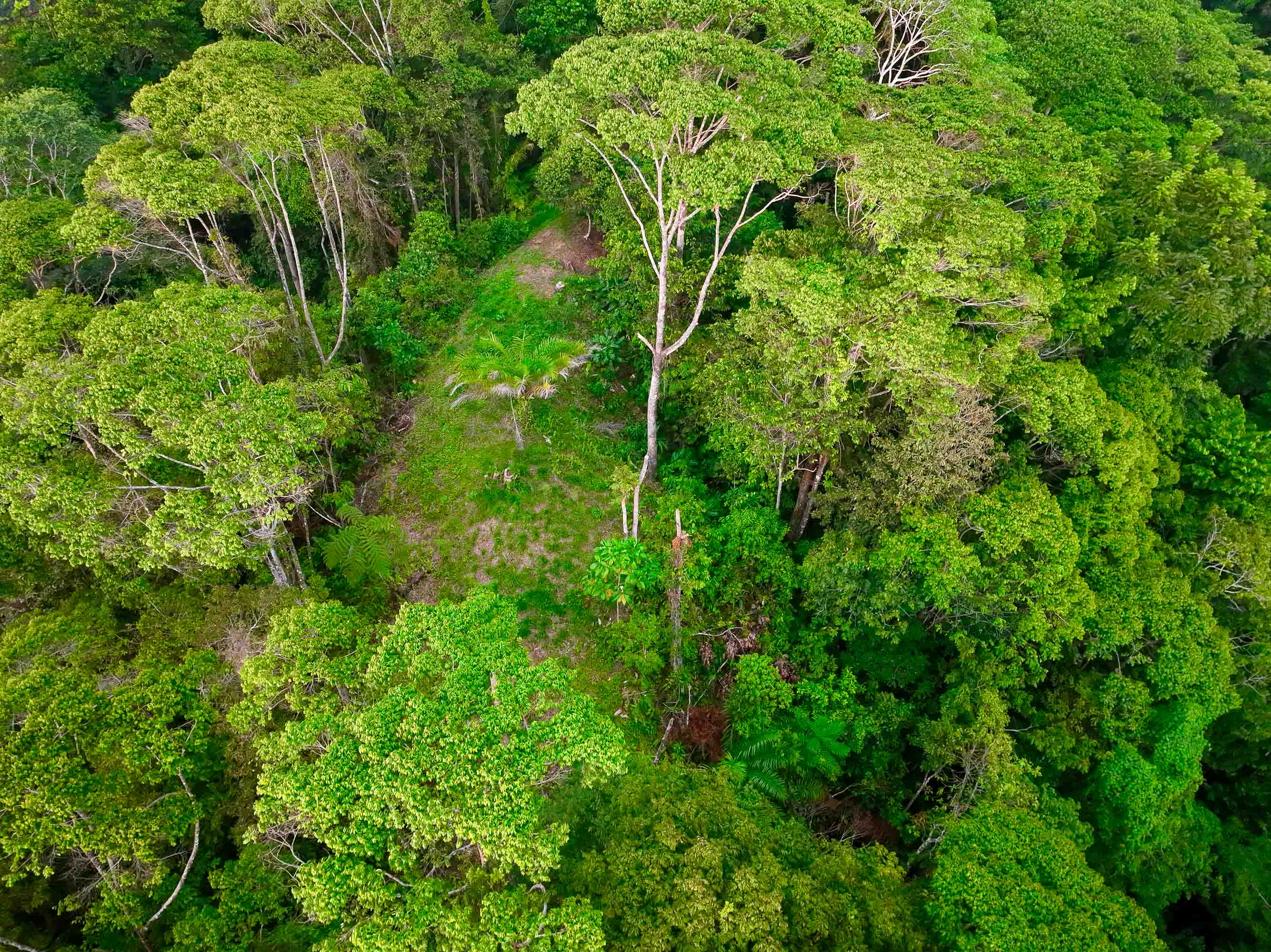 0 bed Land For Sale in Dominical, Puntarenas - thumb 17