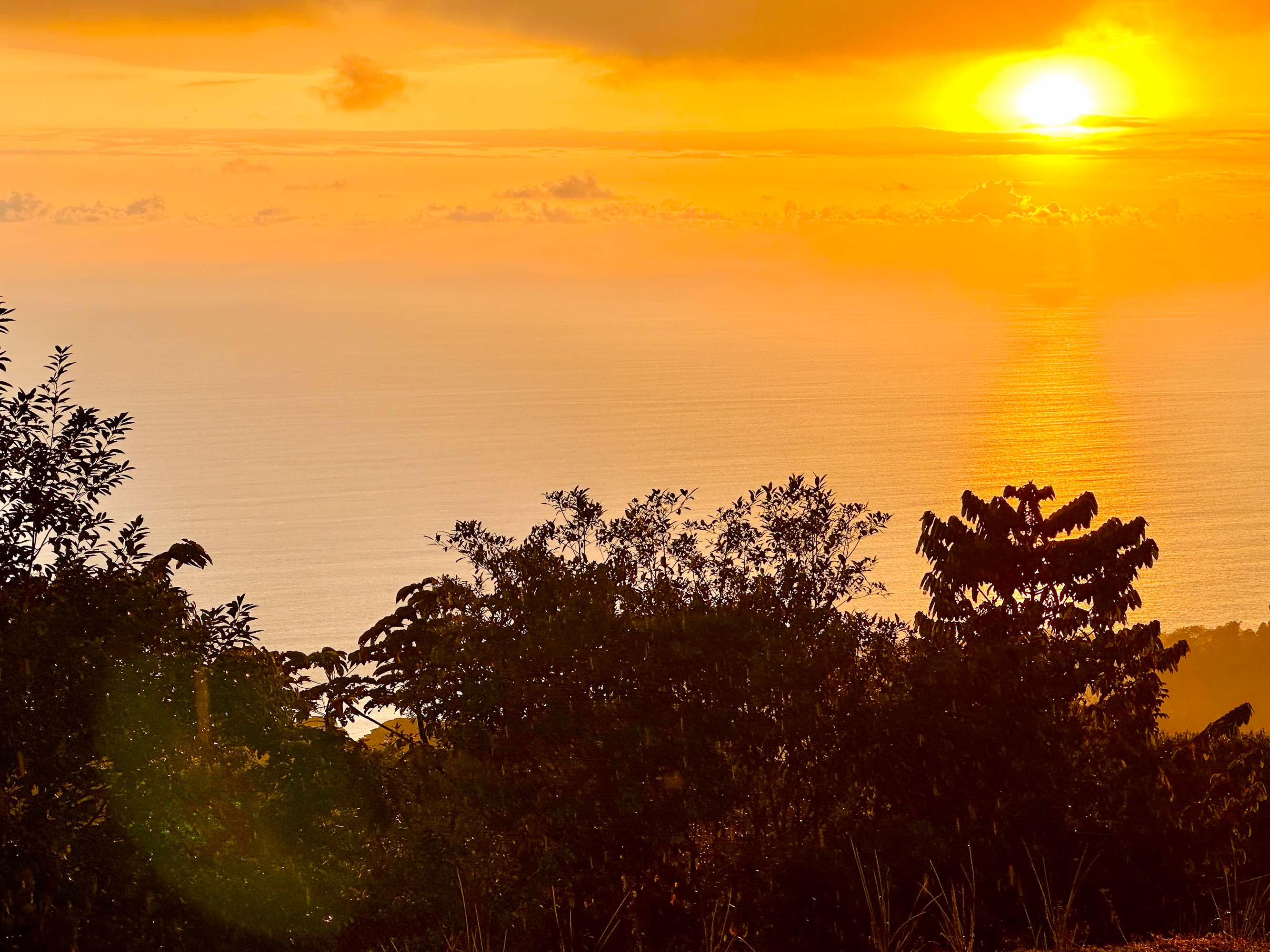 0 bed Land For Sale in Dominical, Puntarenas - thumb 11