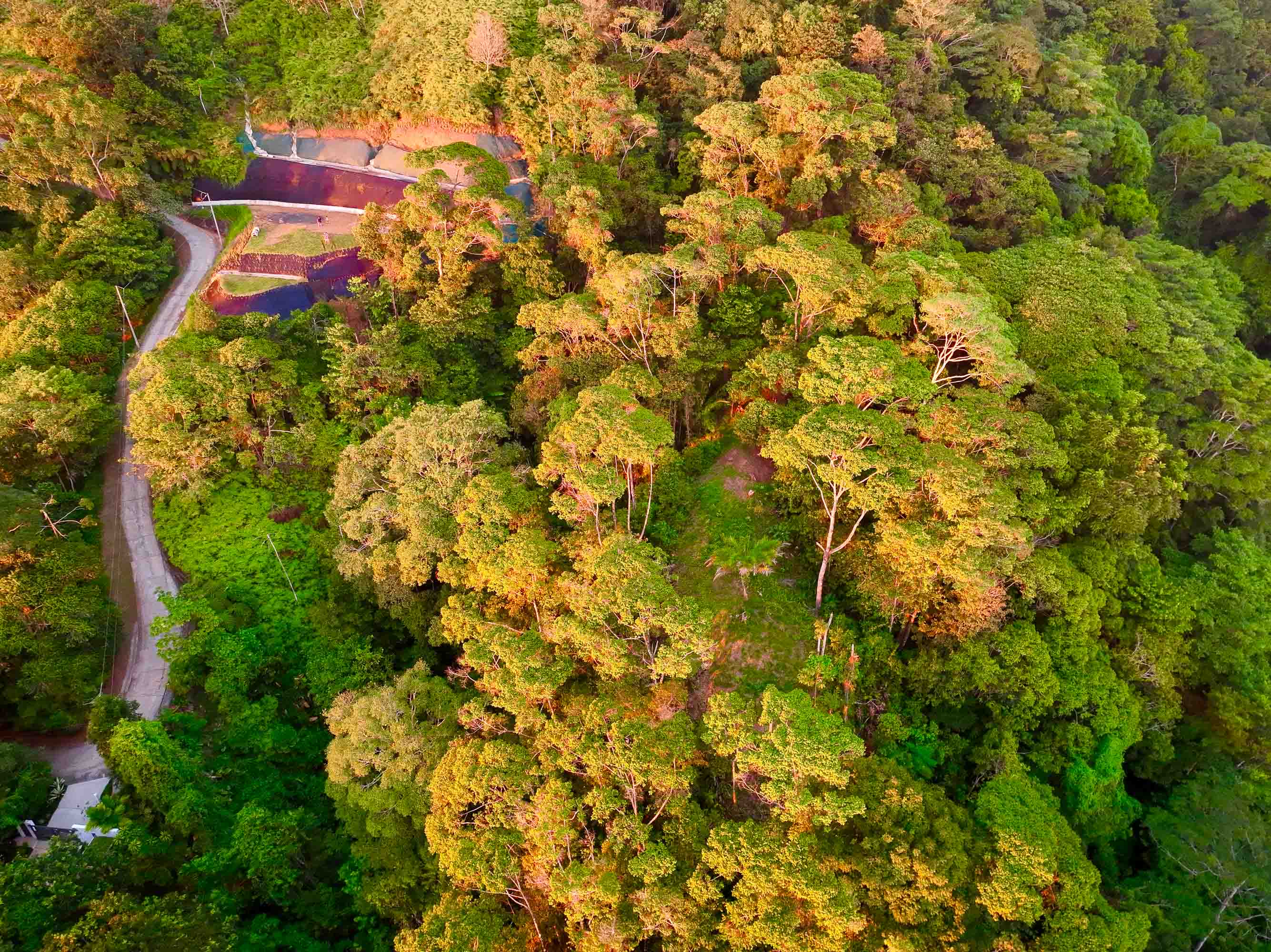 0 bed Land For Sale in Dominical, Puntarenas - thumb 12