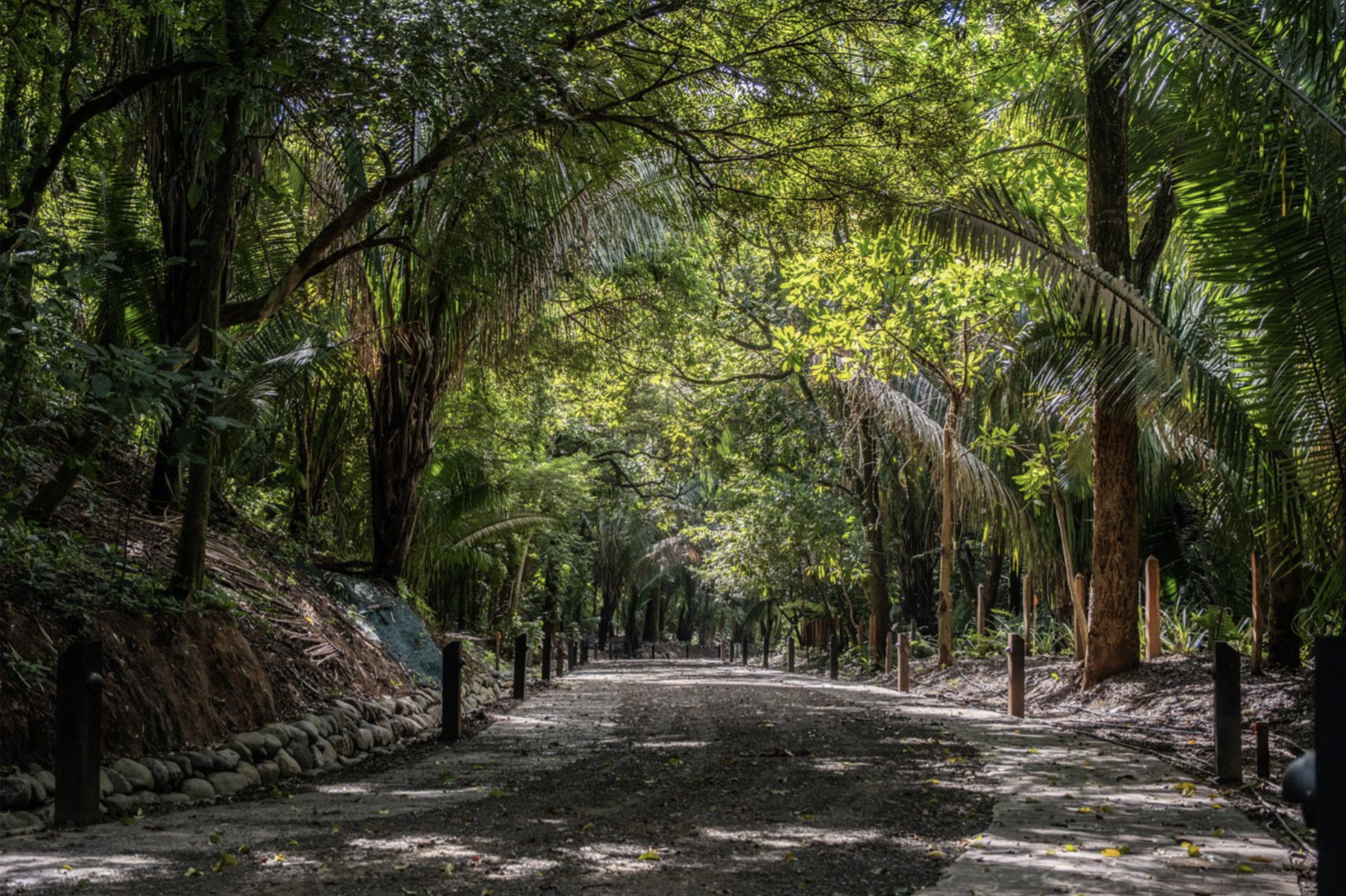 0 bed Land For Sale in Nosara, Guanacaste - thumb 1