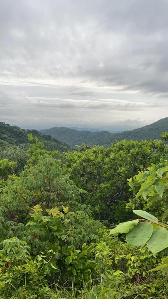 0 bed Land For Sale in Santa Cruz, Guanacaste - thumb 7