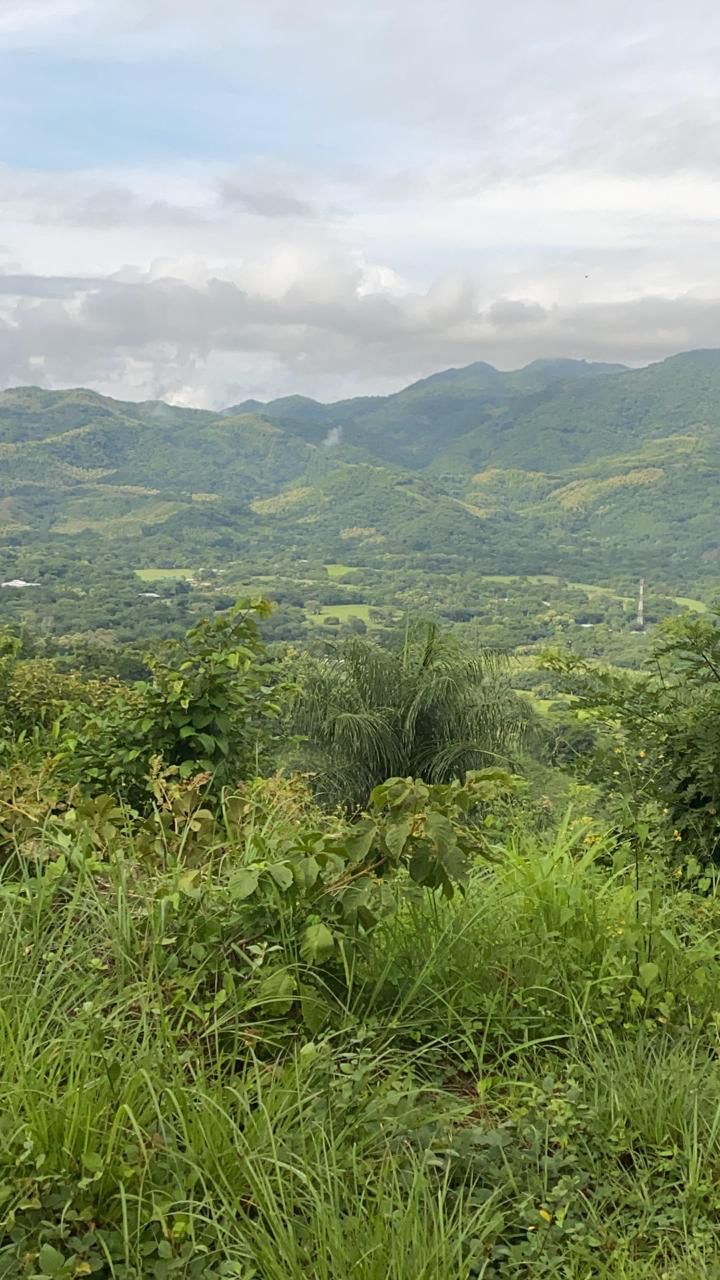 0 bed Land For Sale in Santa Cruz, Guanacaste - thumb 5