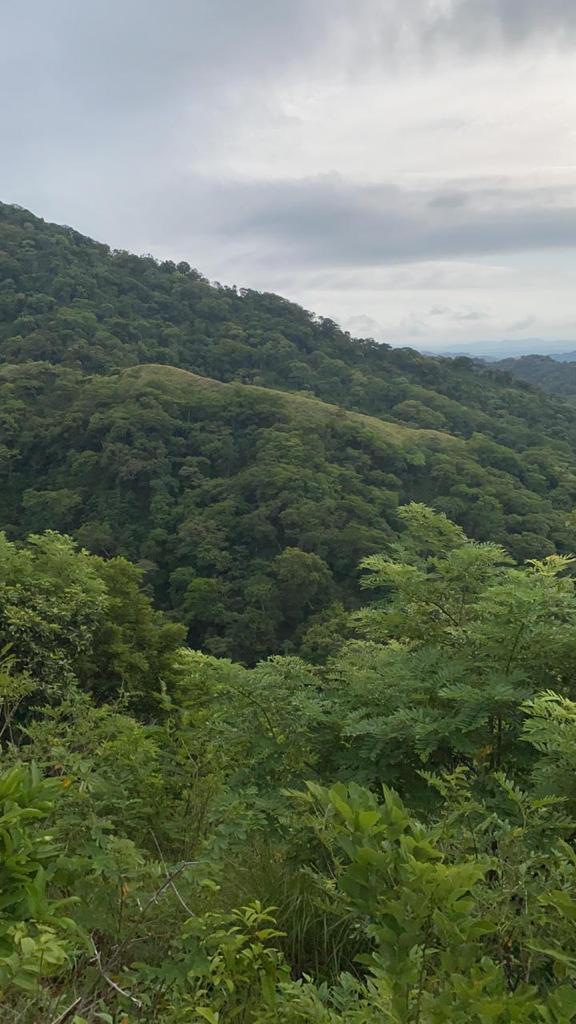 0 bed Land For Sale in Santa Cruz, Guanacaste - thumb 8