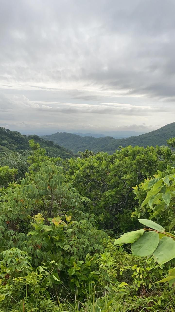 0 bed Land For Sale in Santa Cruz, Guanacaste - thumb 3