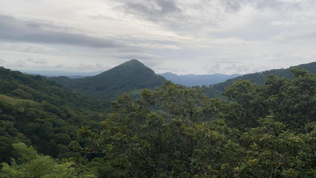 0 bed Land For Sale in Santa Cruz, Guanacaste - thumb 6