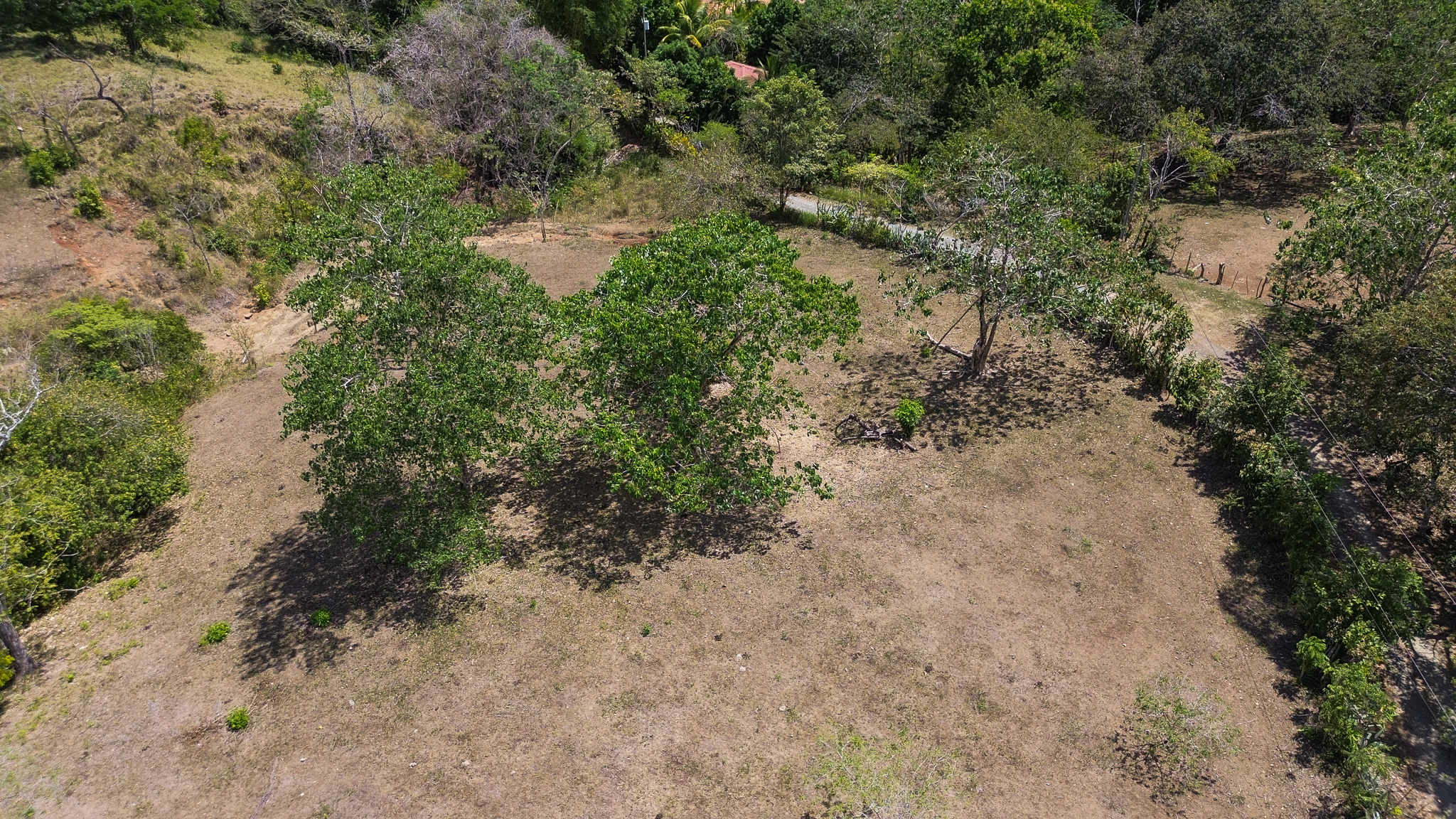 0 bed Land For Sale in Montezuma, Puntarenas - thumb 4