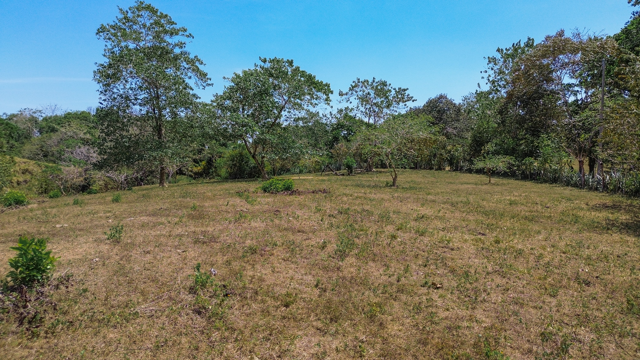 0 bed Land For Sale in Montezuma, Puntarenas - thumb 5