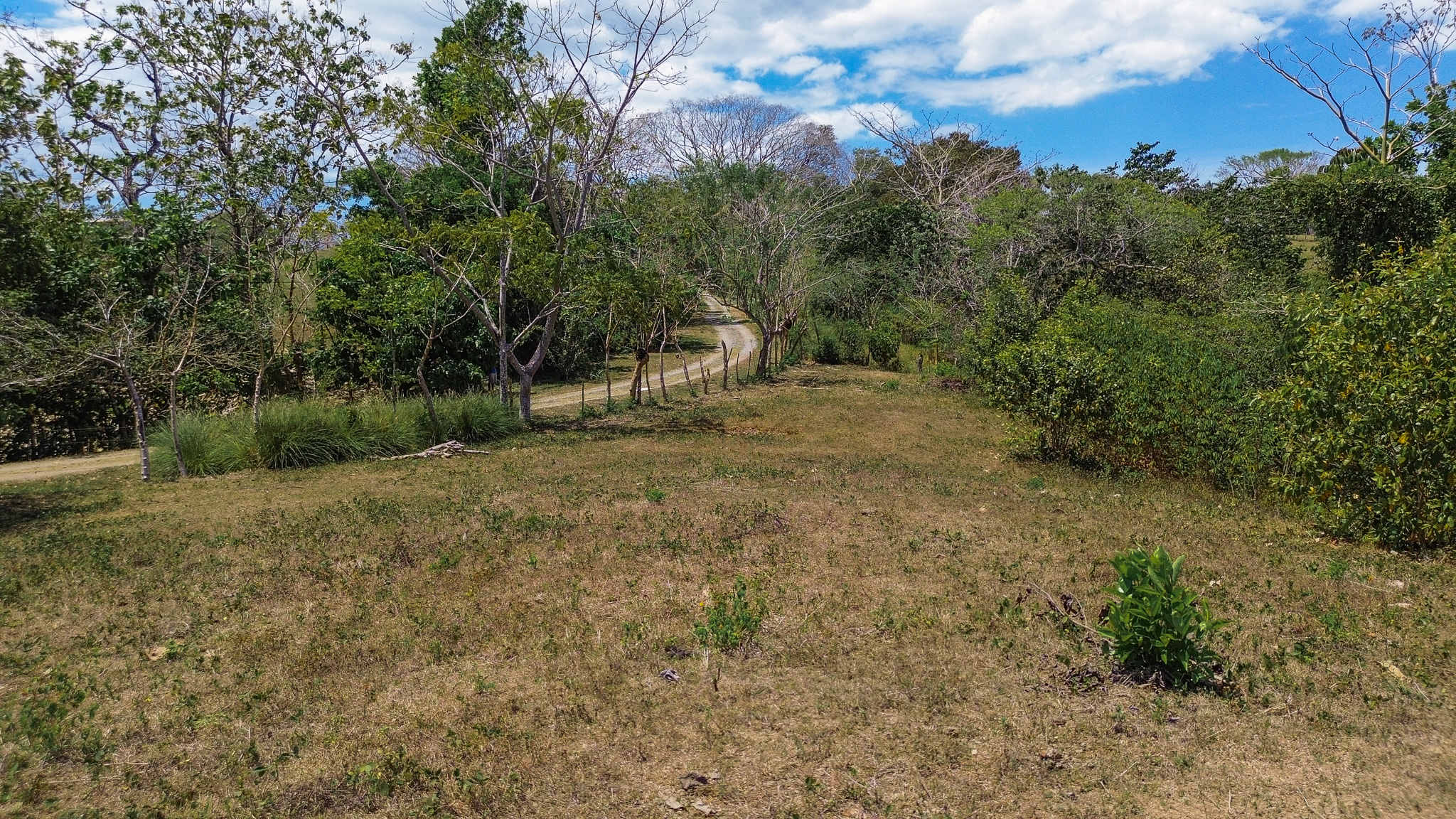 0 bed Land For Sale in Montezuma, Puntarenas - thumb 6
