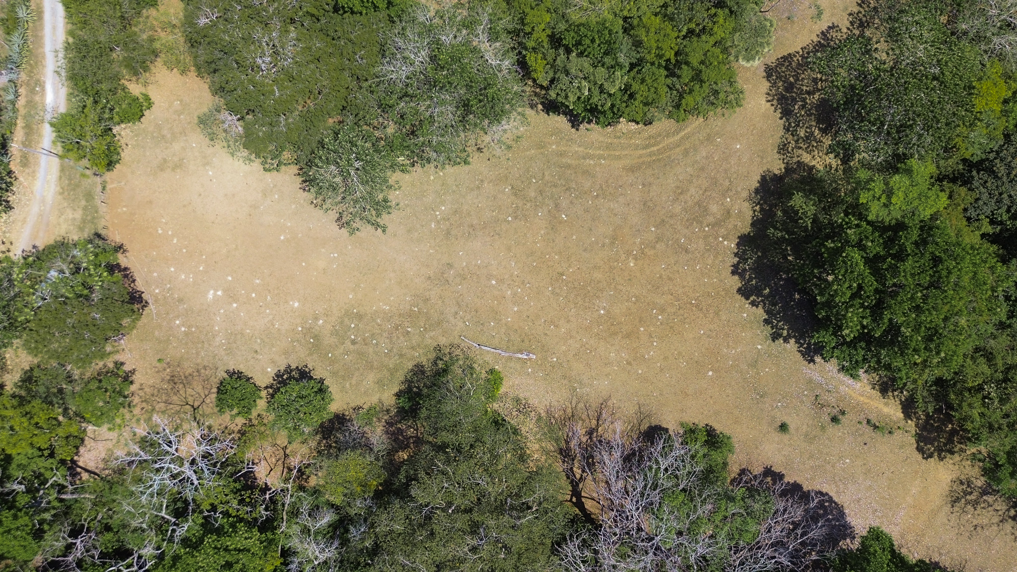 0 bed Land For Sale in Montezuma, Puntarenas - thumb 7